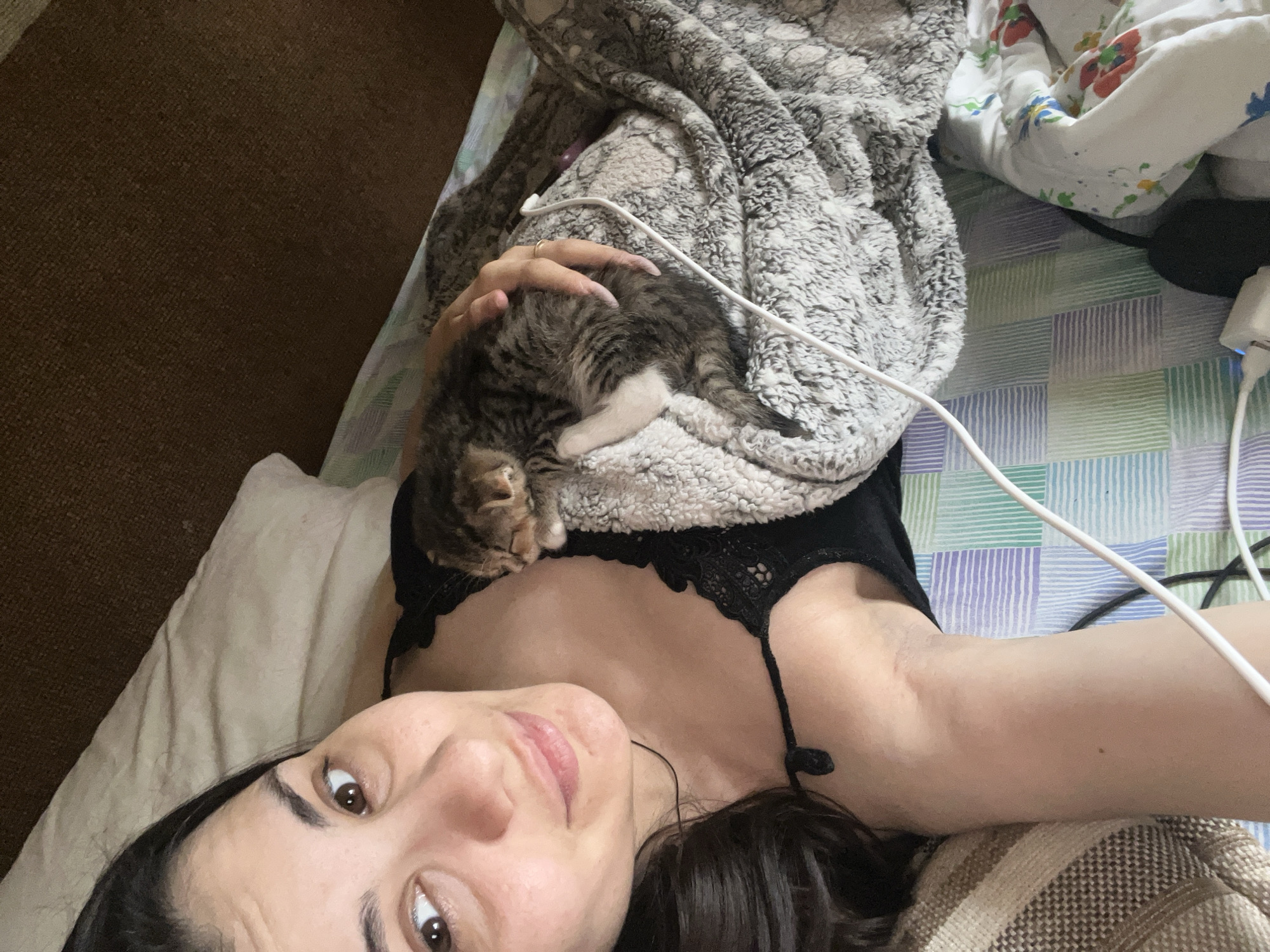 Tiny tabby kitten naps on a grey blanket