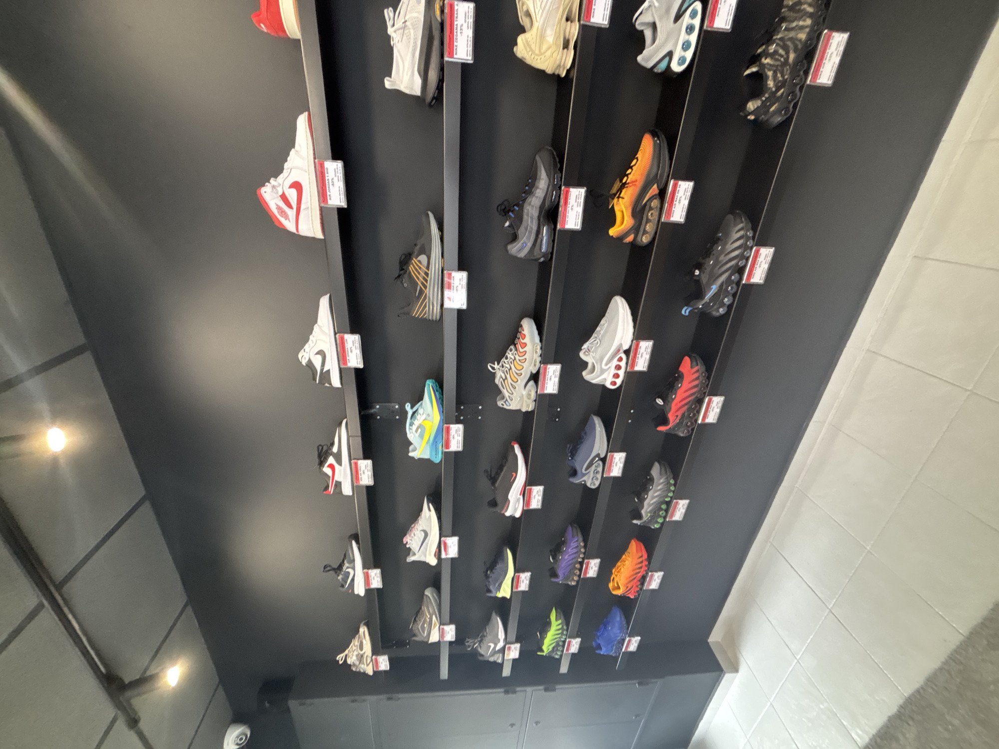 Shopping session documented at retail store in Gabrovo, Bulgaria
