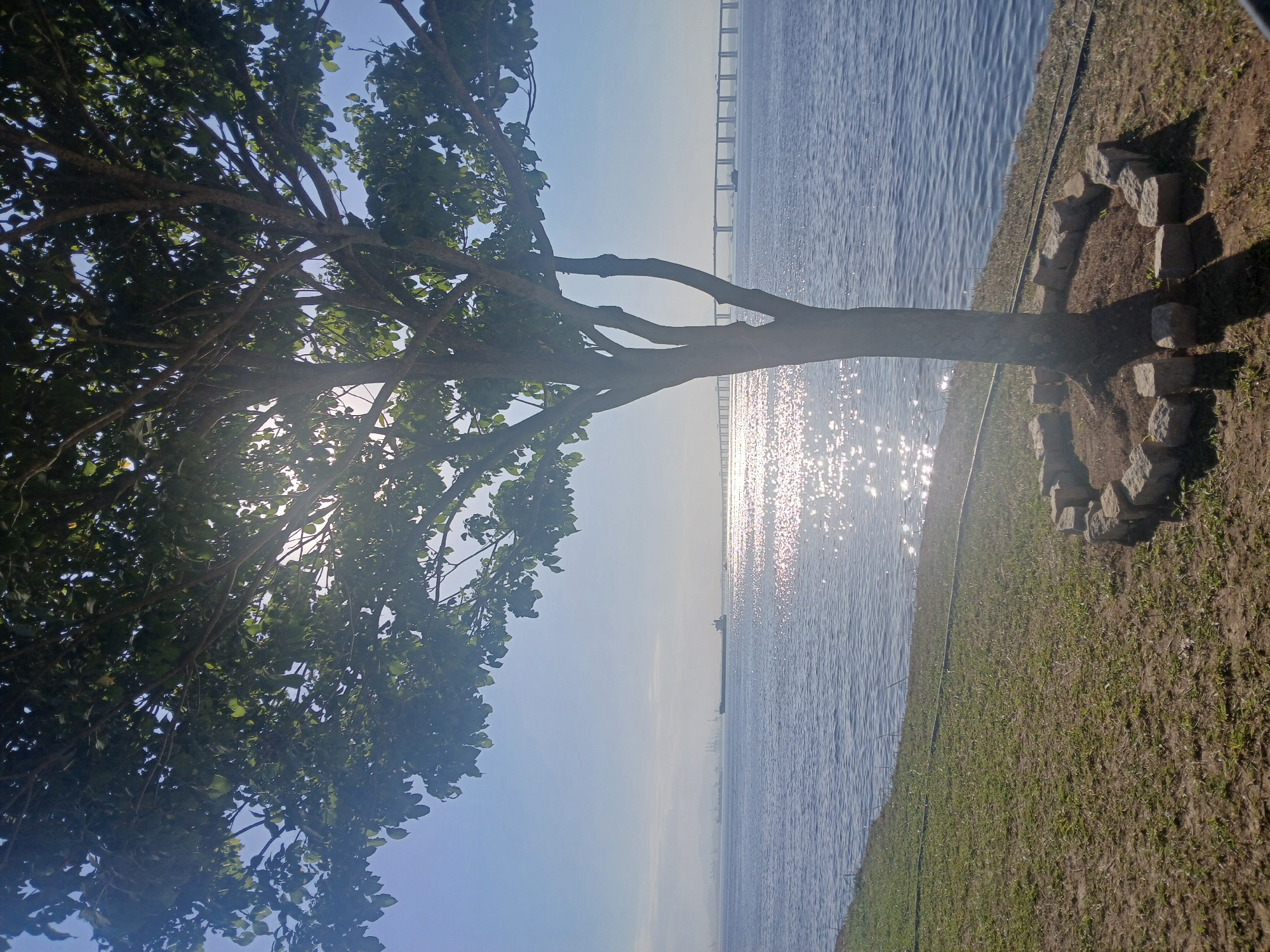 Niterói waterfront: statues, trees, and bay views