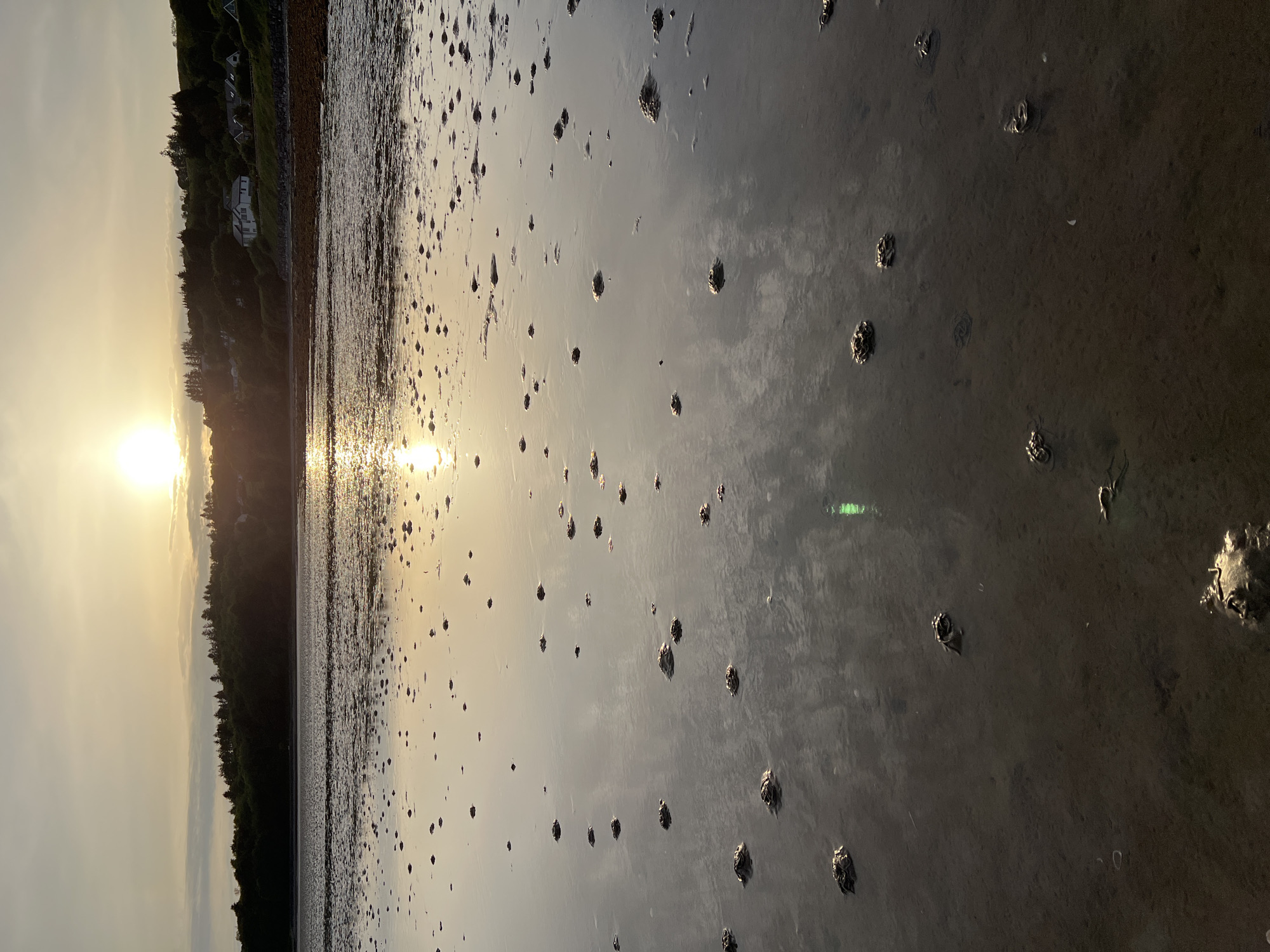 Golden-hour low tide at Mountcharles shore, Ireland