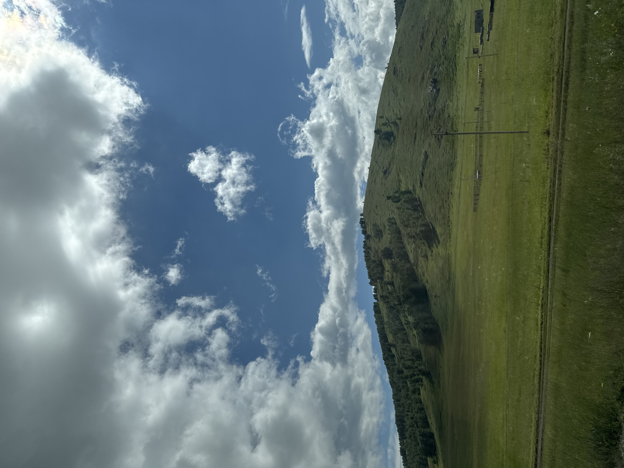 Green meadow and forested hills under a sunny summer sky