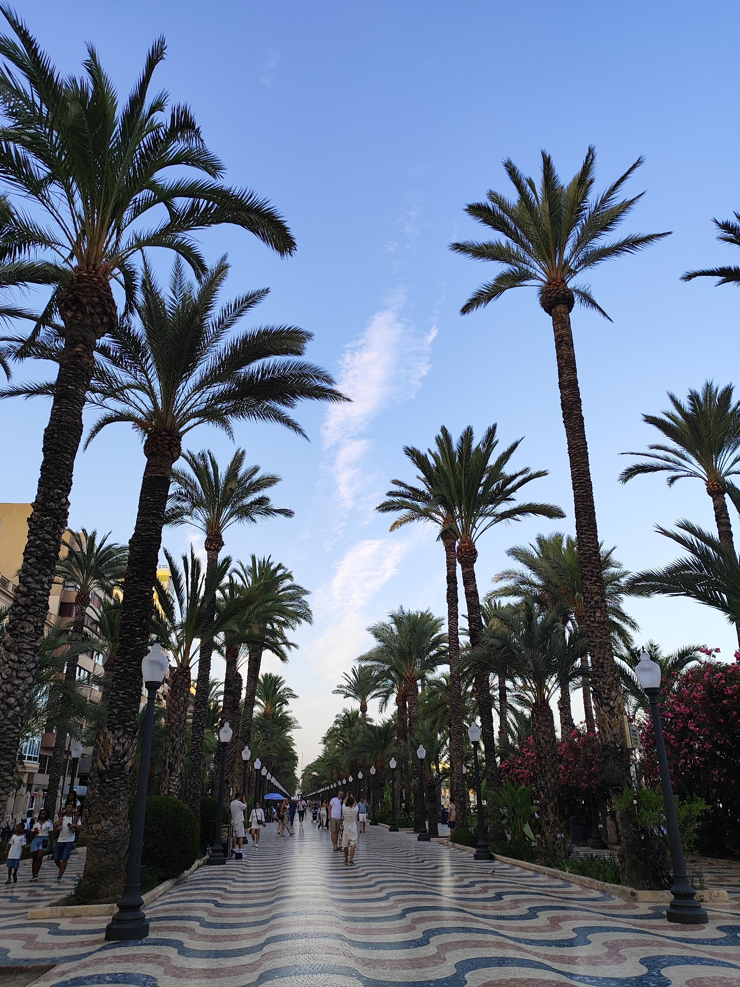 Alicante's mosaic promenade and a city bus in the plaza