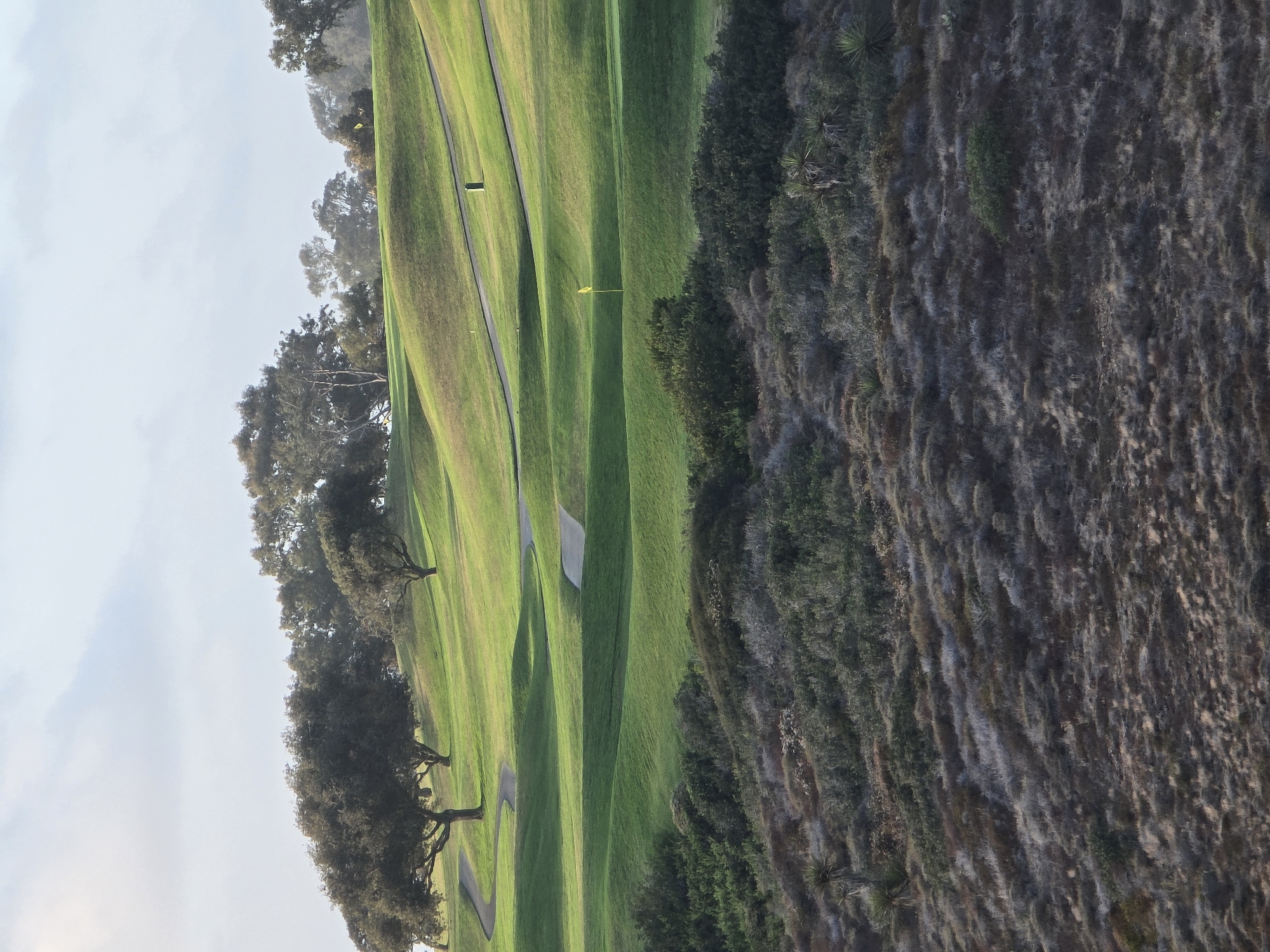 Golden hour coastal scenes captured around Torrey Pines, San Diego