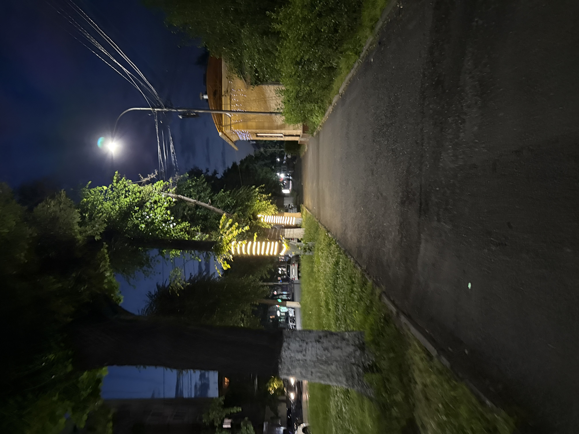 Evening along a tree-lined street in Vladikavkaz