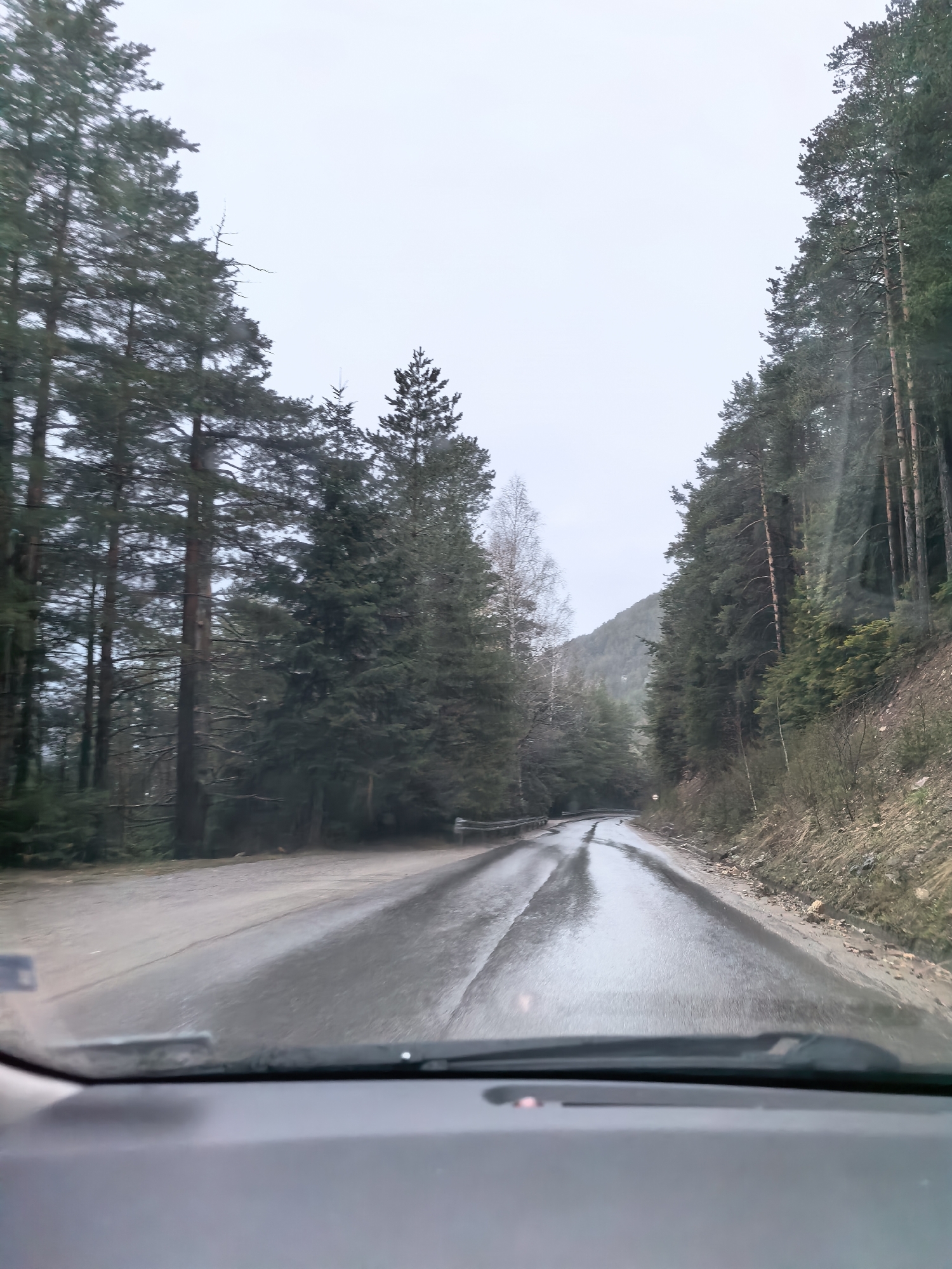 Mountain journey captures wet roads, valley views, nesting storks