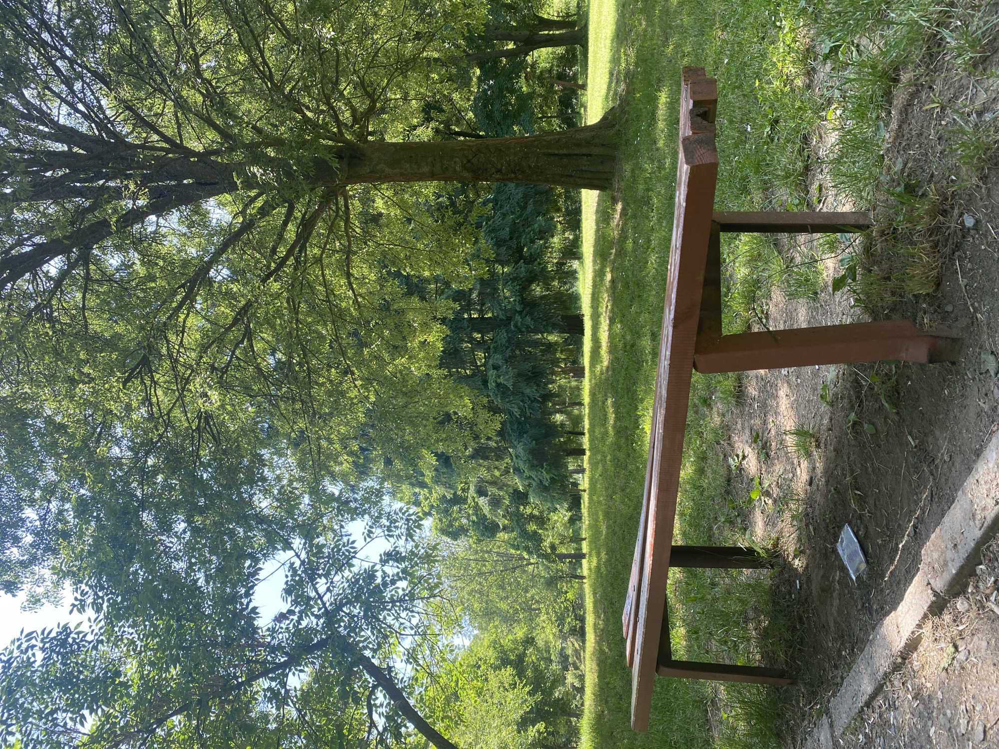 Morning park scenes documented in Blagoevgrad, Bulgaria