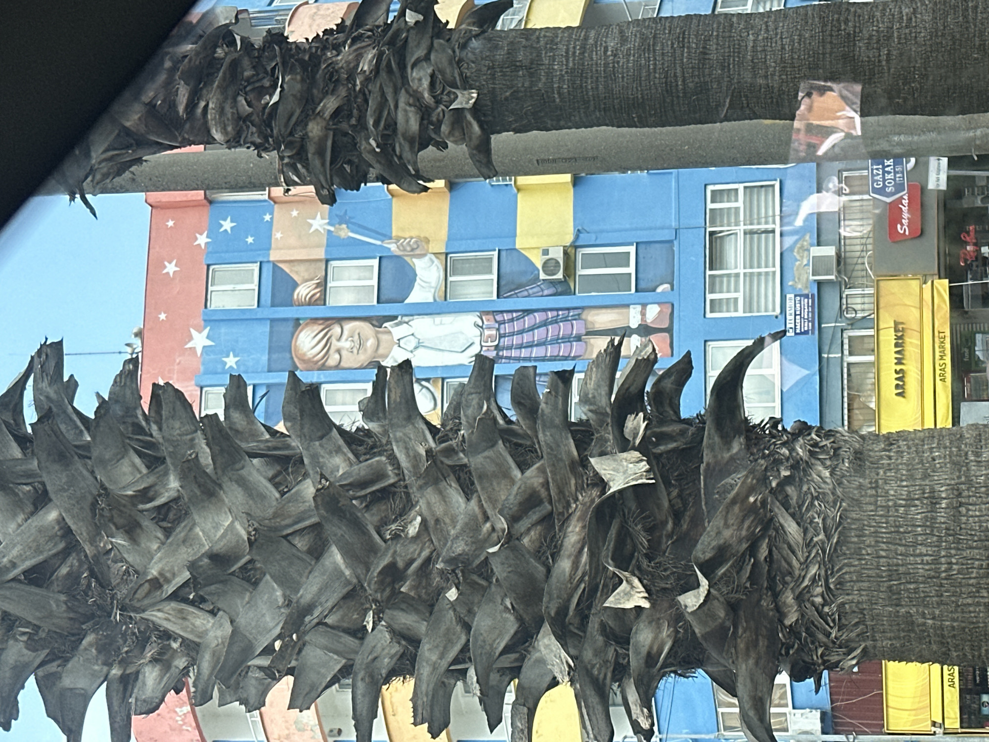 Building mural featuring child spotted in Ortaca, Turkey