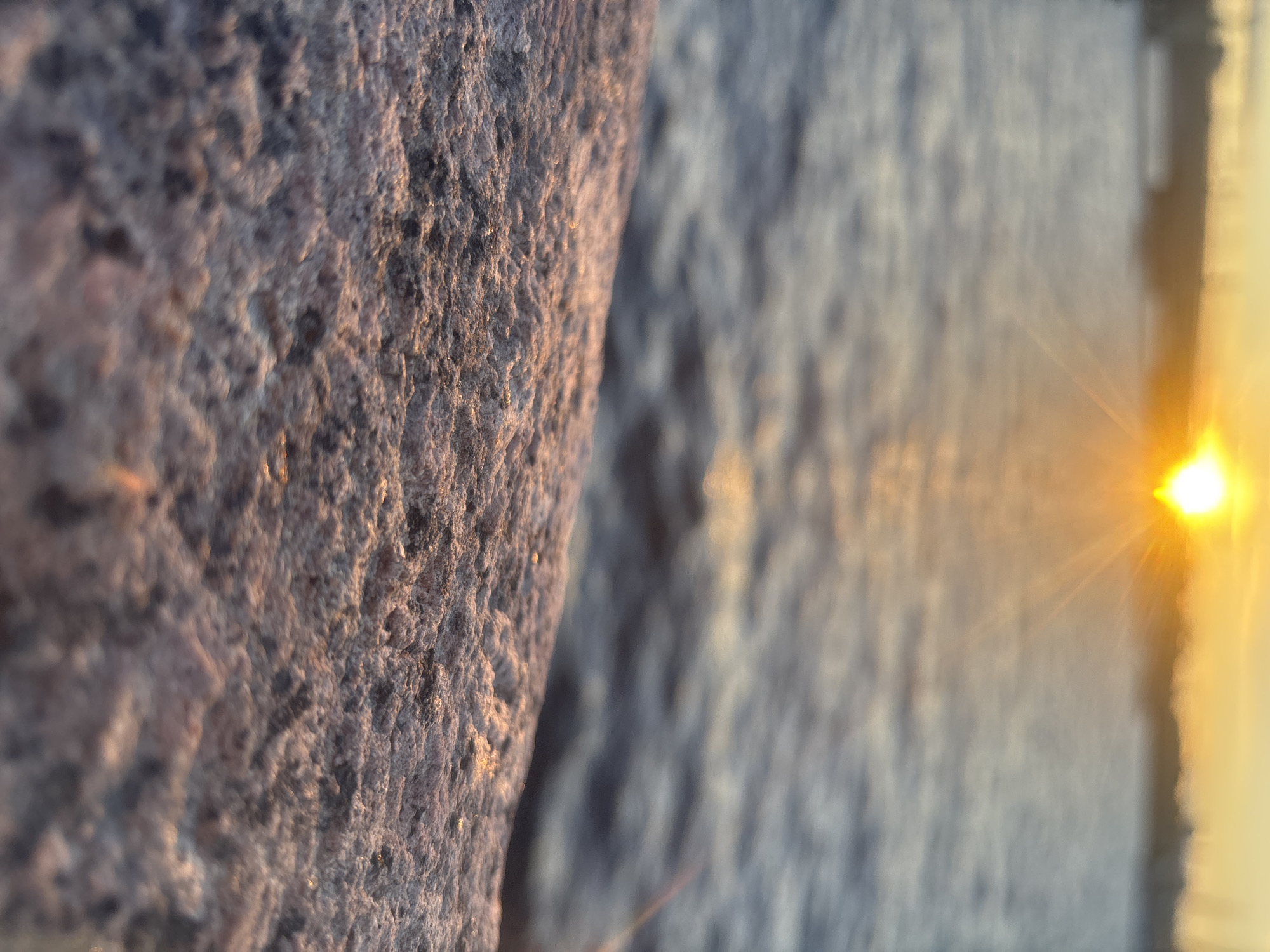Sunset documented across Saint Petersburg landmarks and waterways