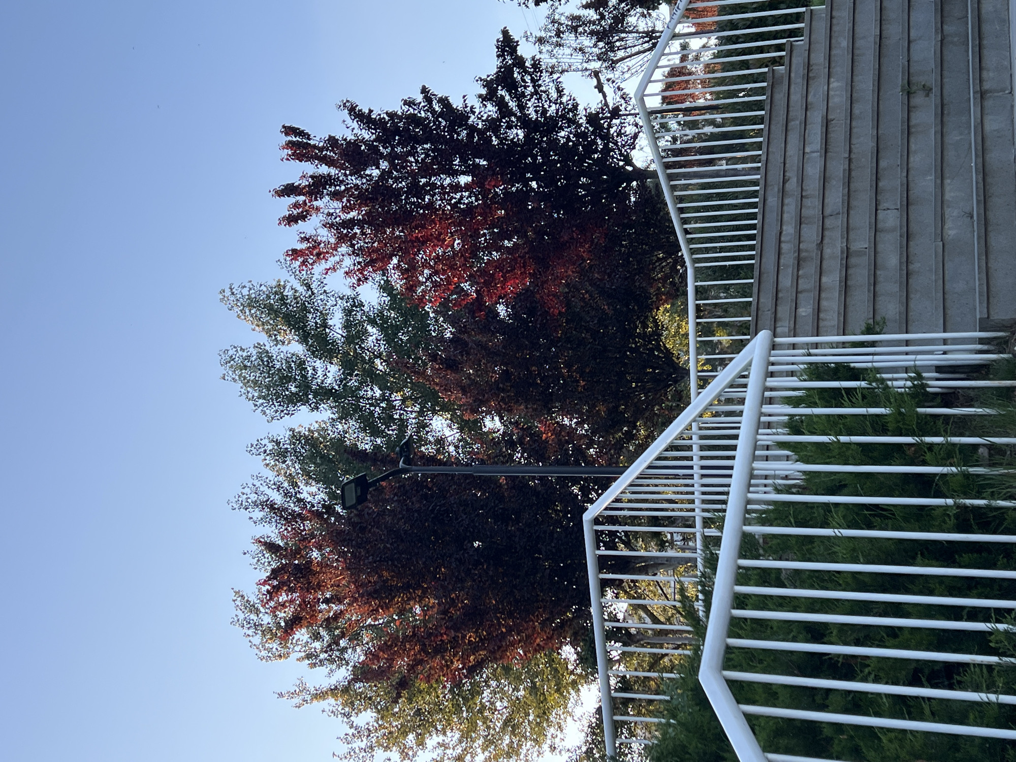 Ordinary park scenes documented across Tbilisi in afternoon