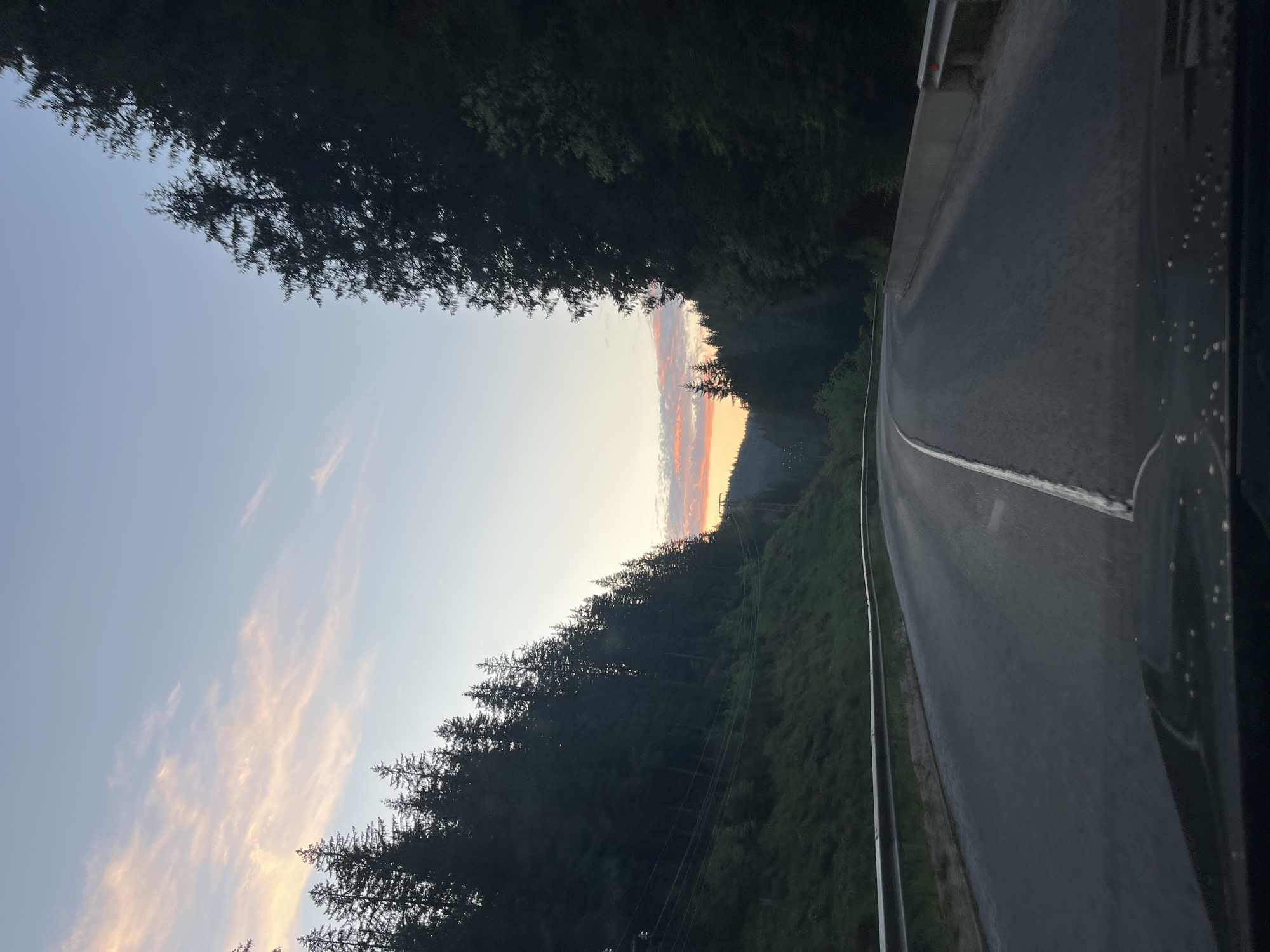 Rural road through evergreen forest documented in Progled, Bulgaria