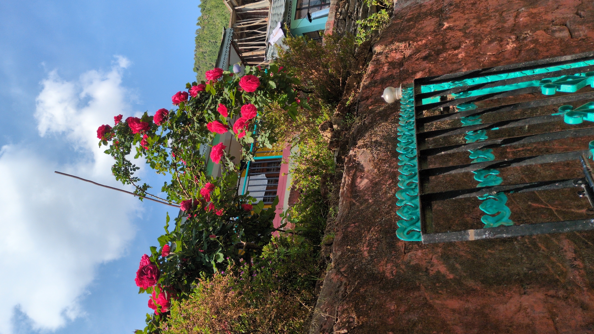 Morning scenes captured in Bhagsu village, India