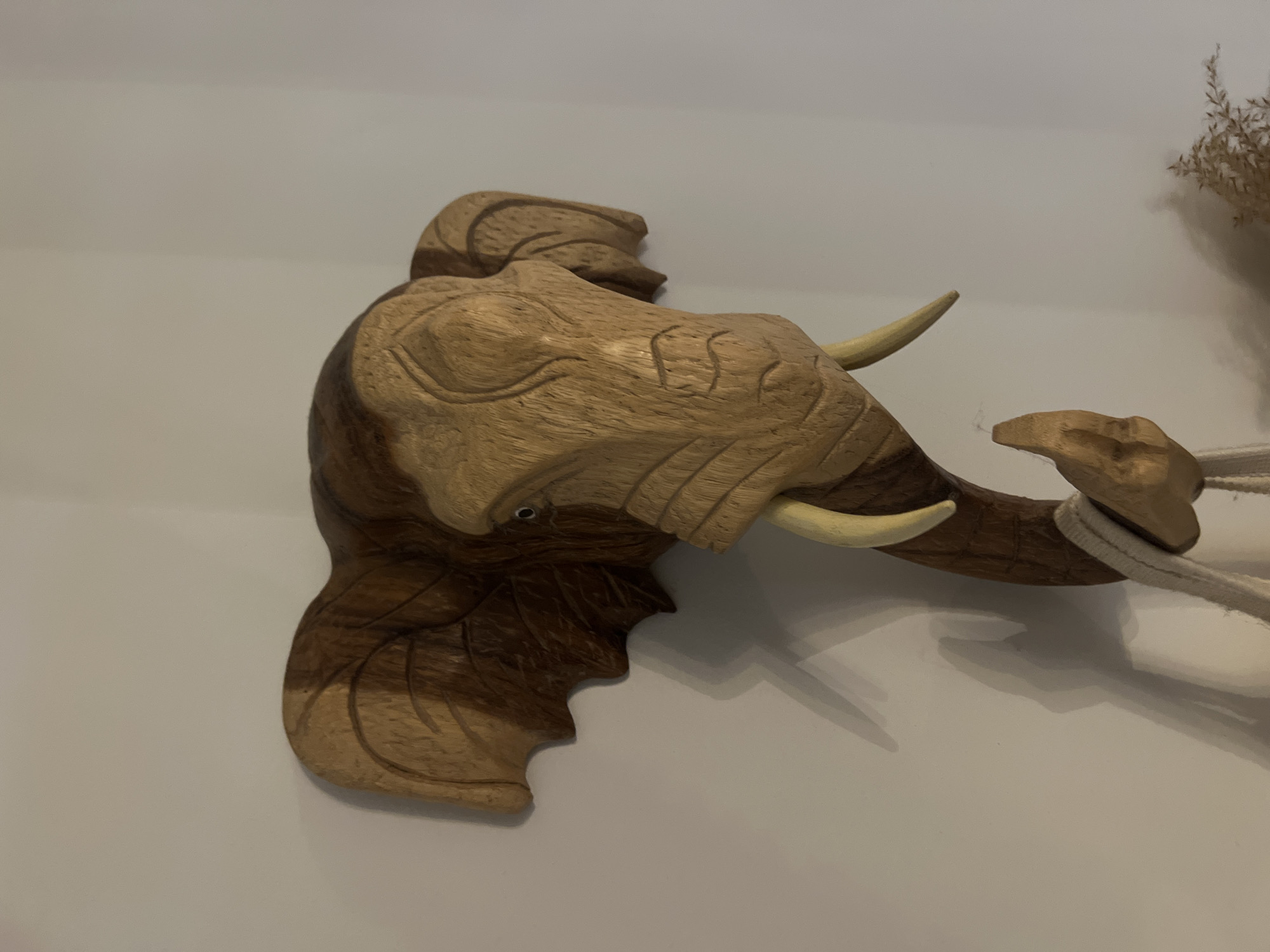 Wooden elephant head carving spotted on wall in Portugal