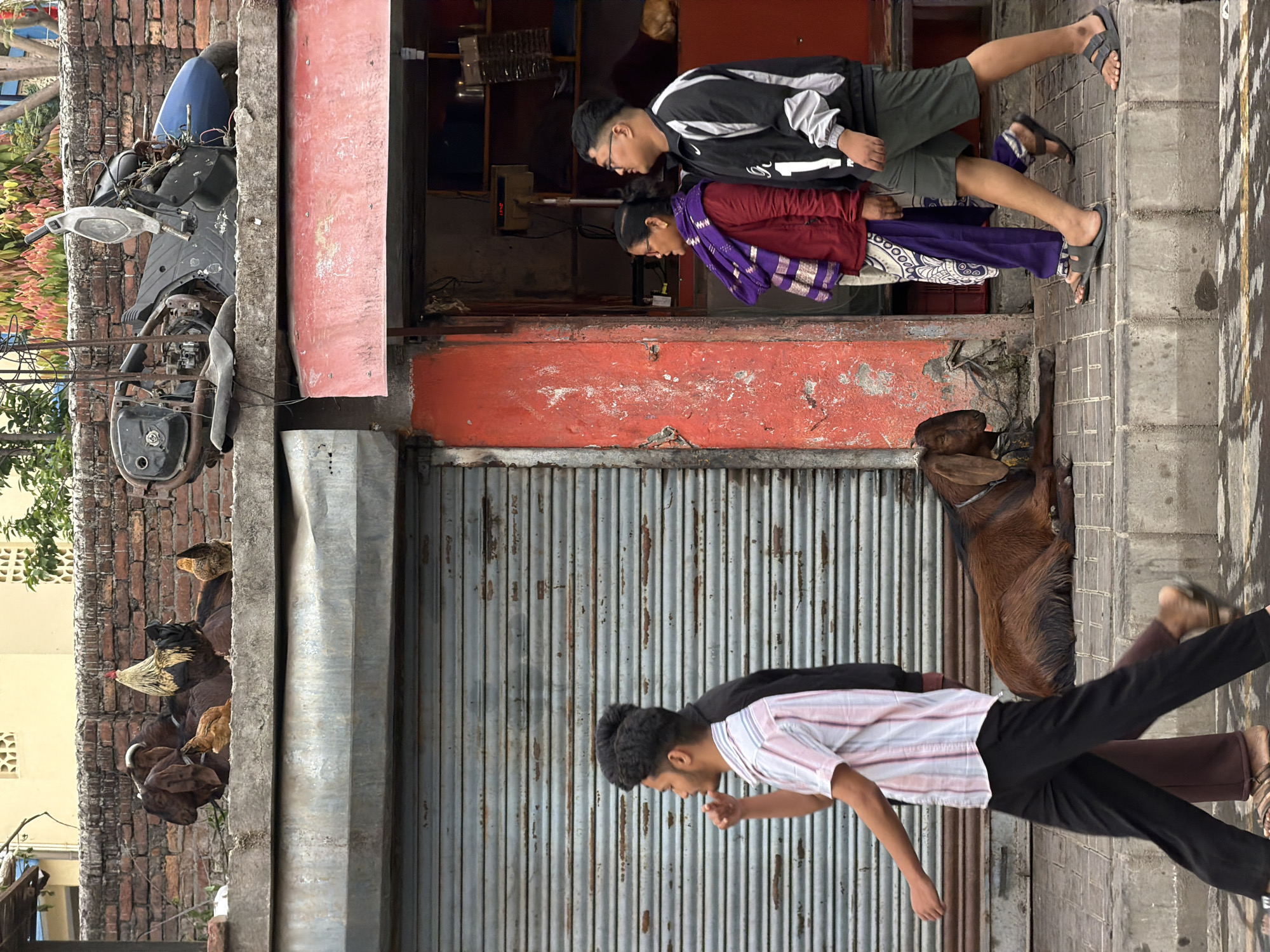 Urban street scenes documented in Kathmandu show everyday city life
