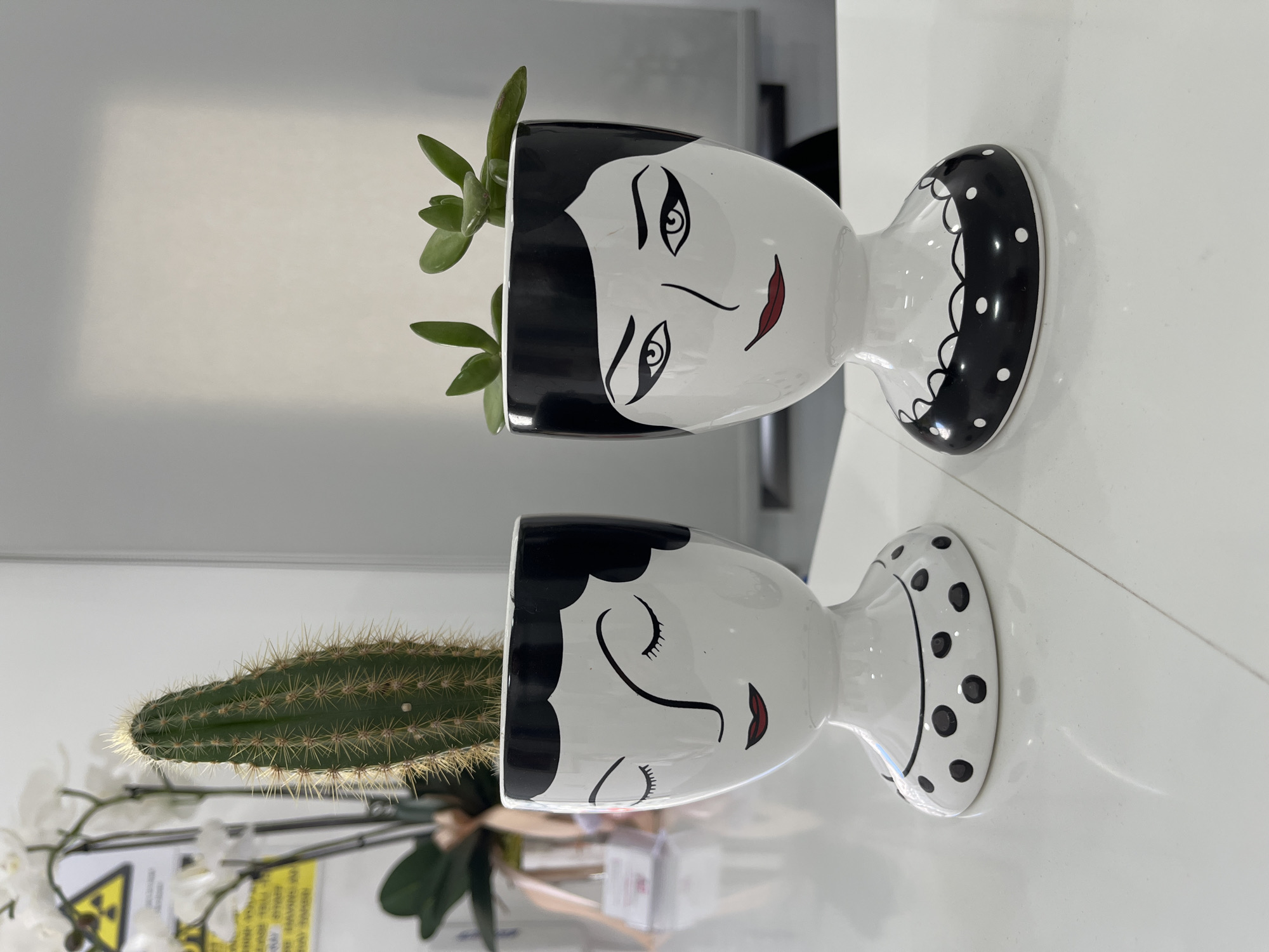 Face-shaped ceramic planters spotted in Limassol, Cyprus