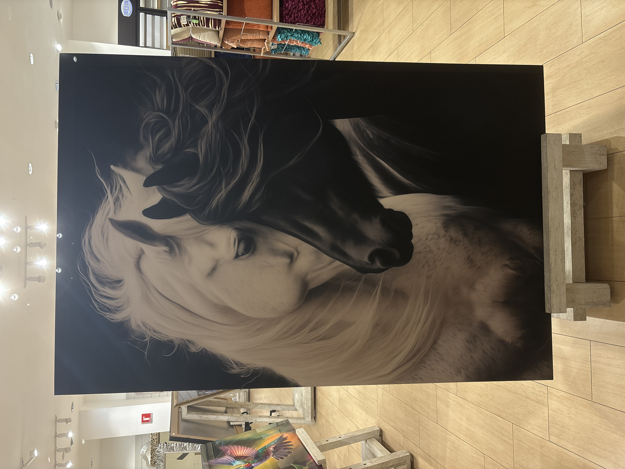 Framed horse photograph spotted in Tampico, Mexico
