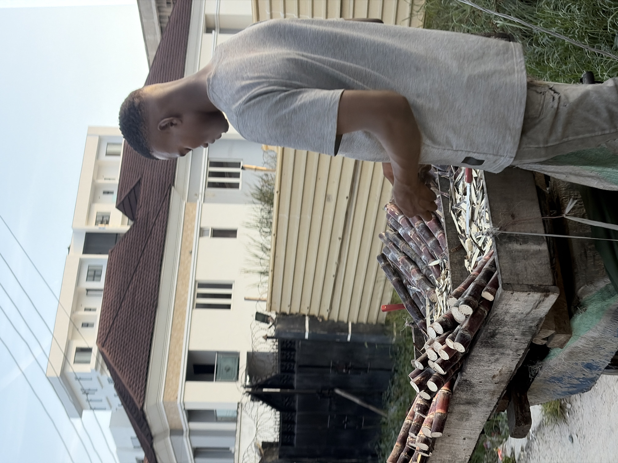 Man examines sugar cane pile in Moba, Nigeria