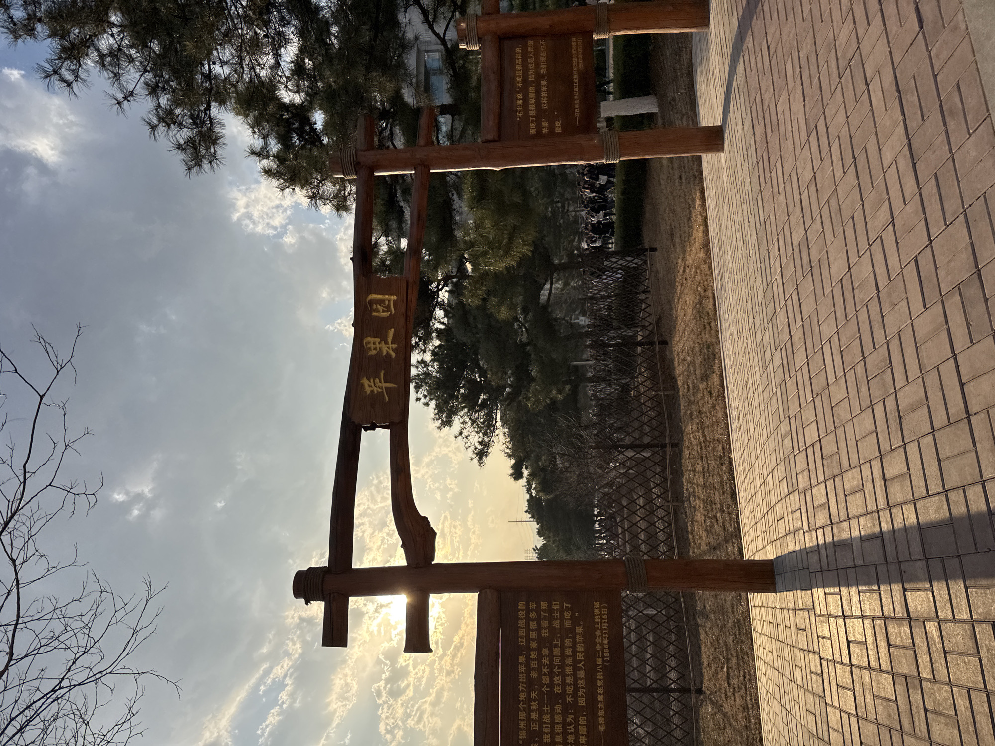 Morning scenes captured at Apple Orchard entrance, Zhongtun China