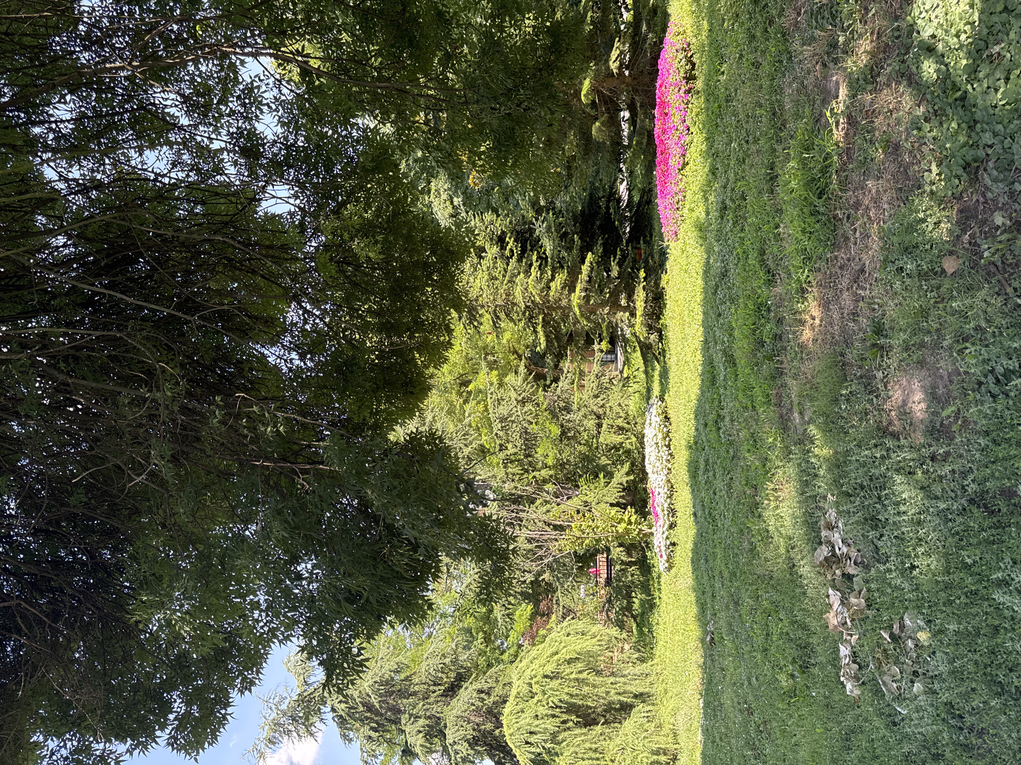 Sunny afternoon in a Yambol park — benches, birds, and dappled light