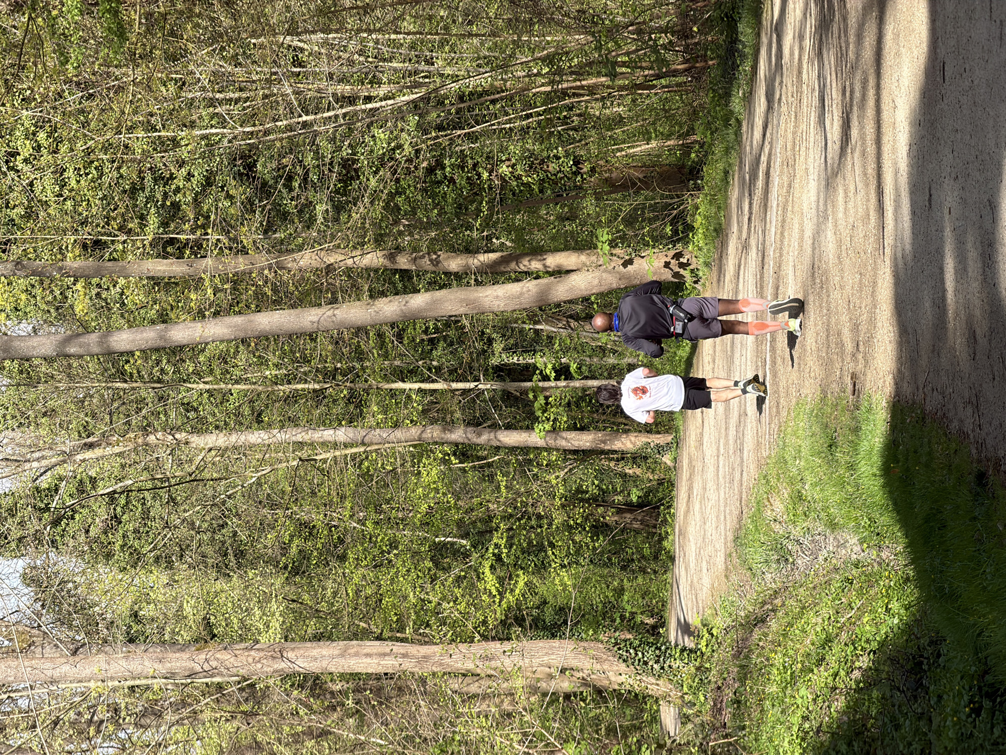 Two men stand on wooded path in Noisiel