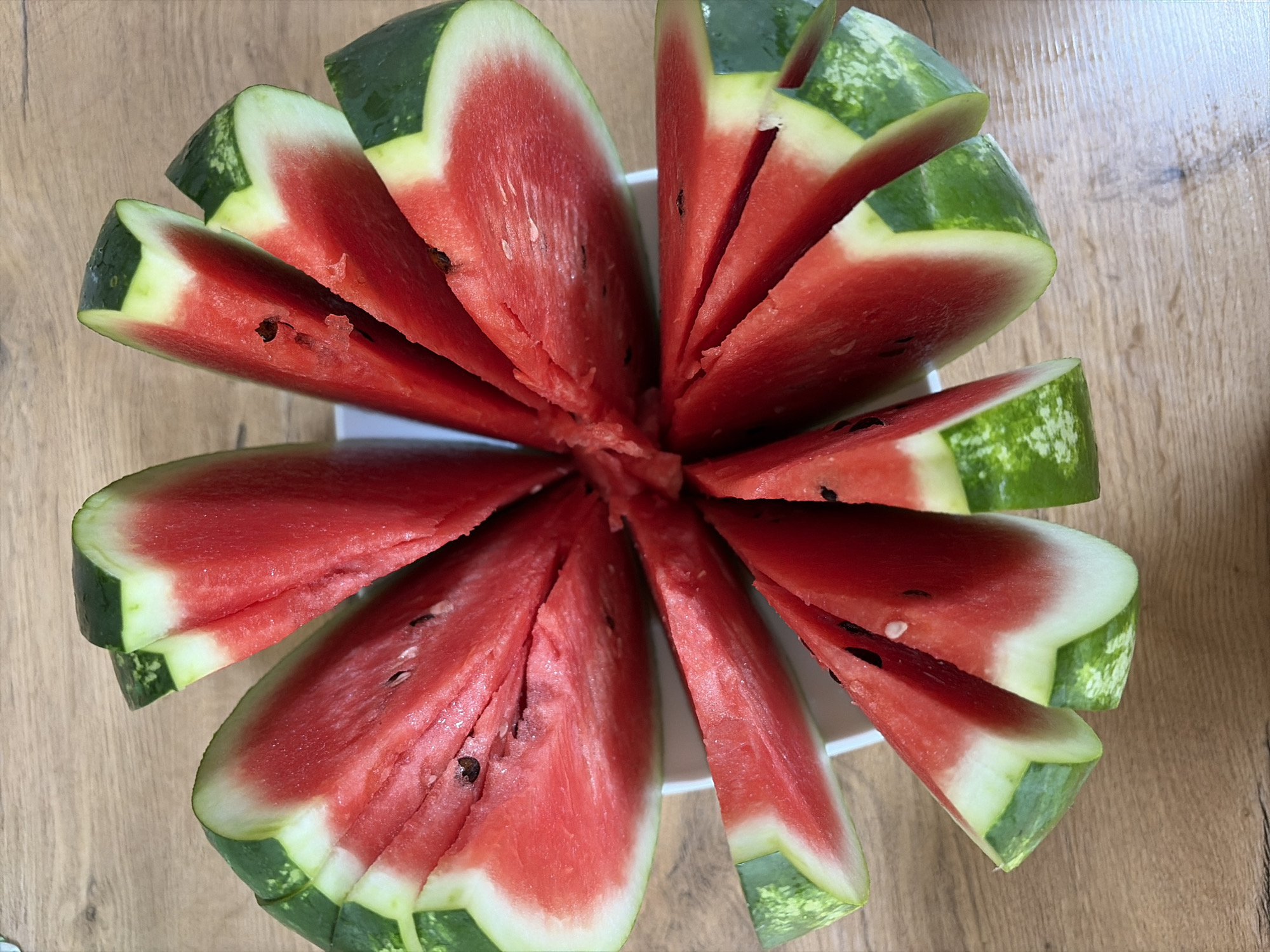 Cats, a toy gator, and watermelon on a Moldovan lawn