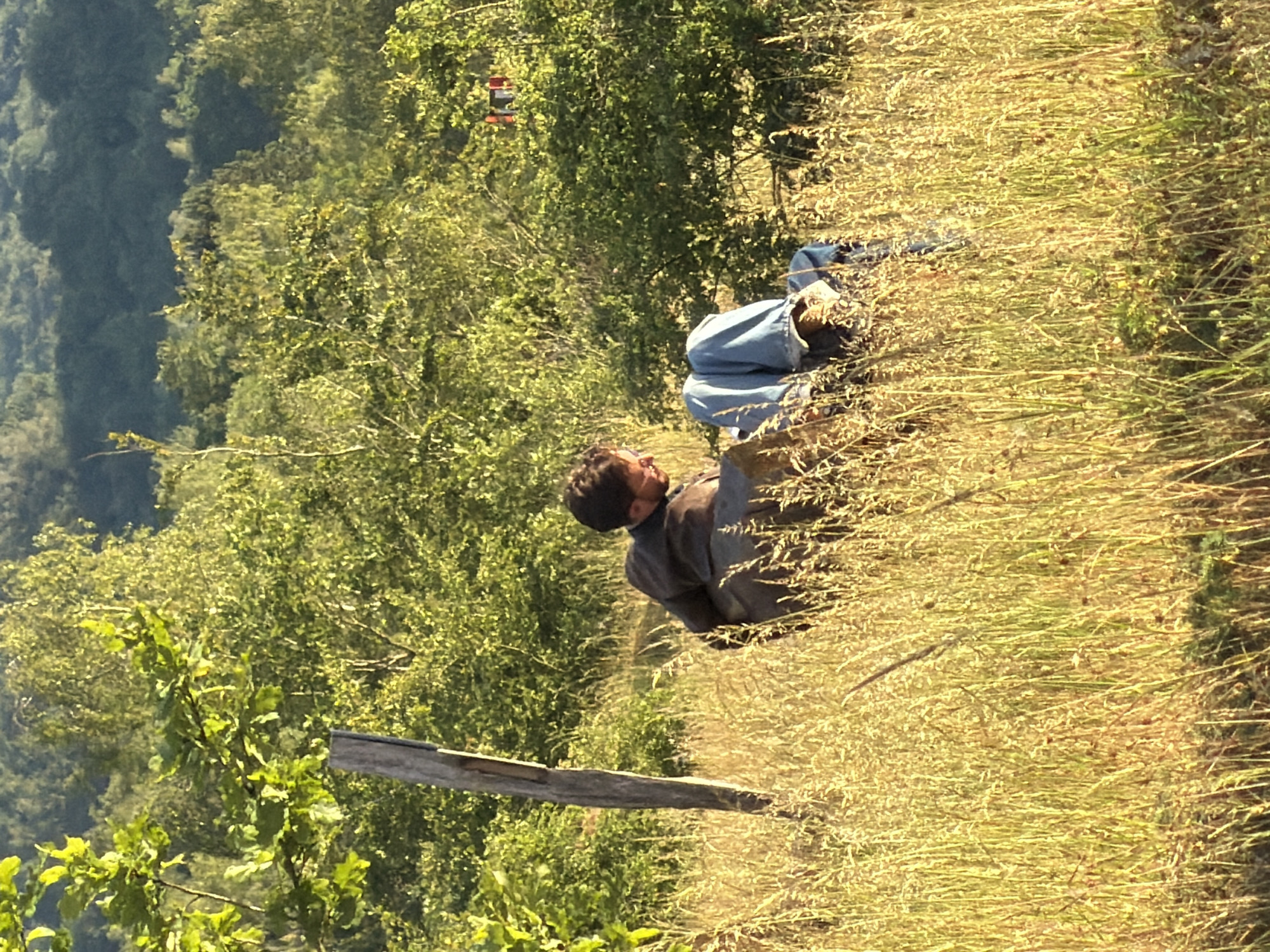Person with dog enjoys sunset in Luxembourg field