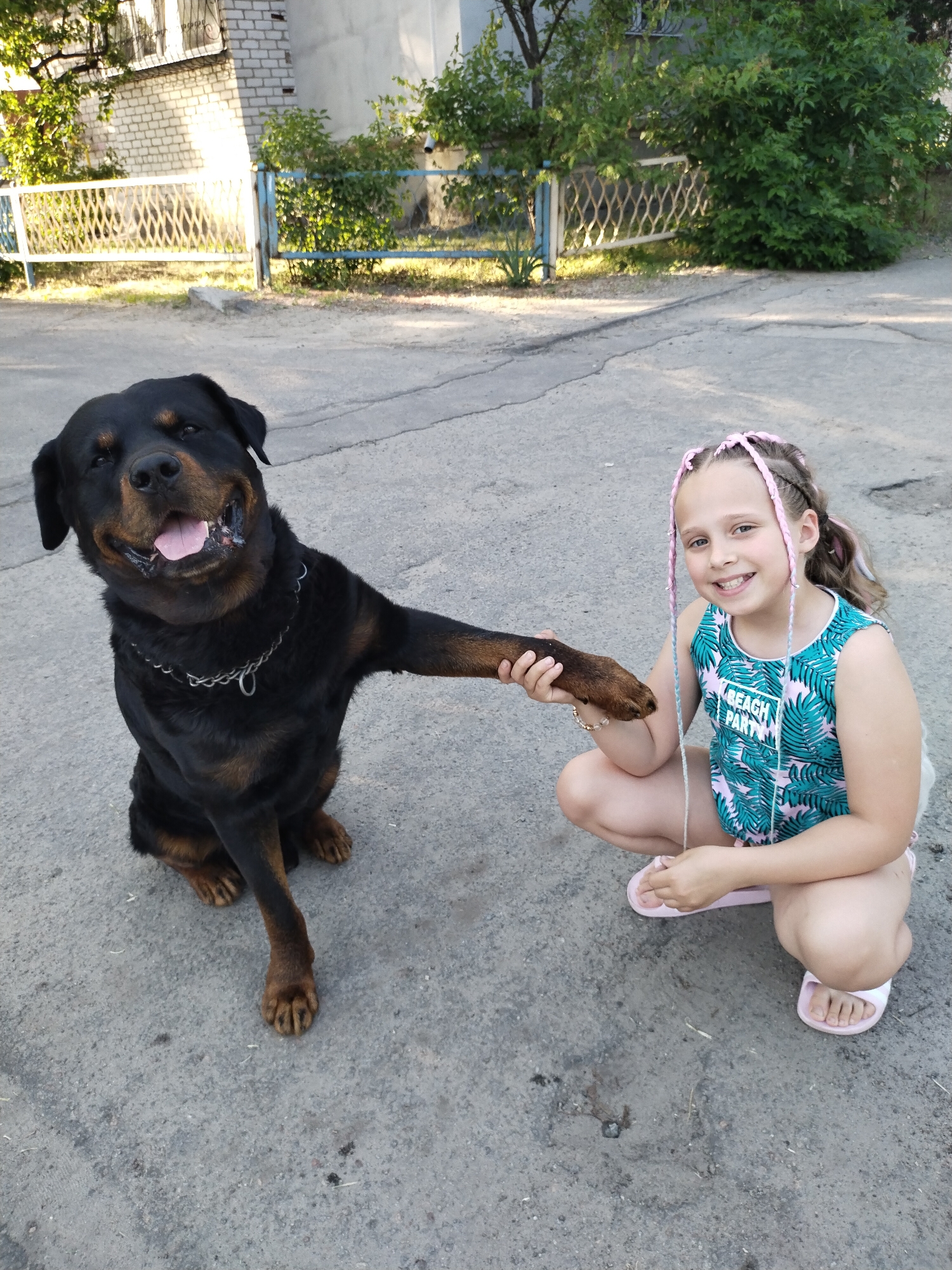 Family meal and children playing with dog in Ukraine