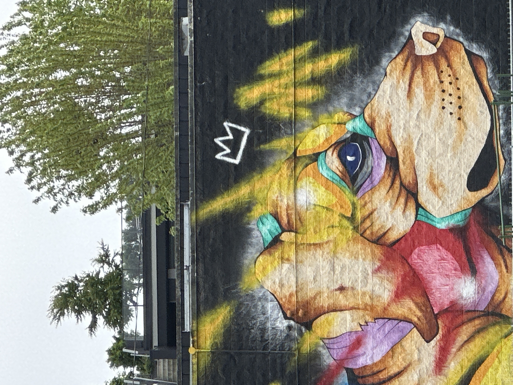 Early morning street scenes documented in downtown Vancouver