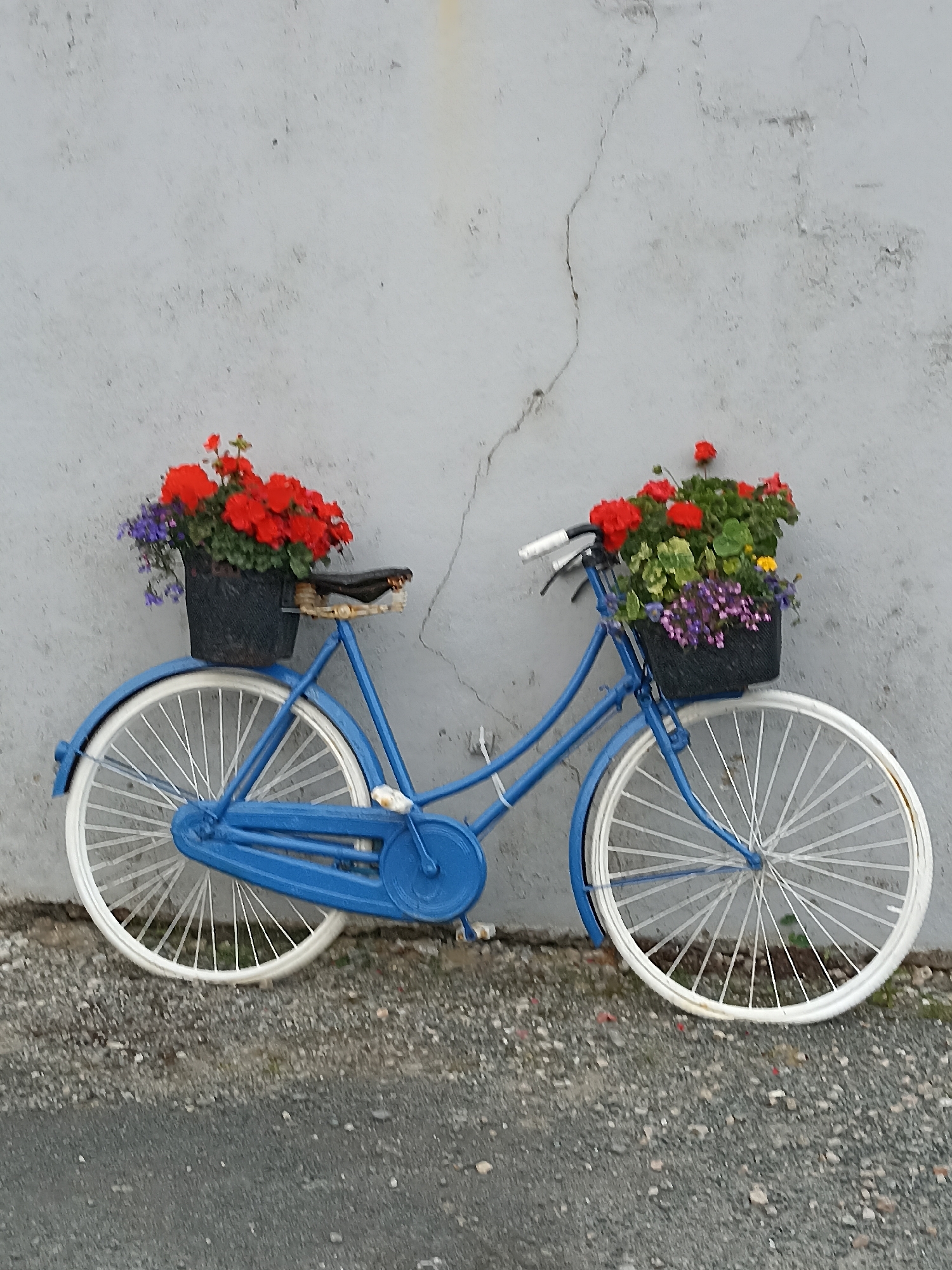 Annagry's cottage gardens in full summer bloom