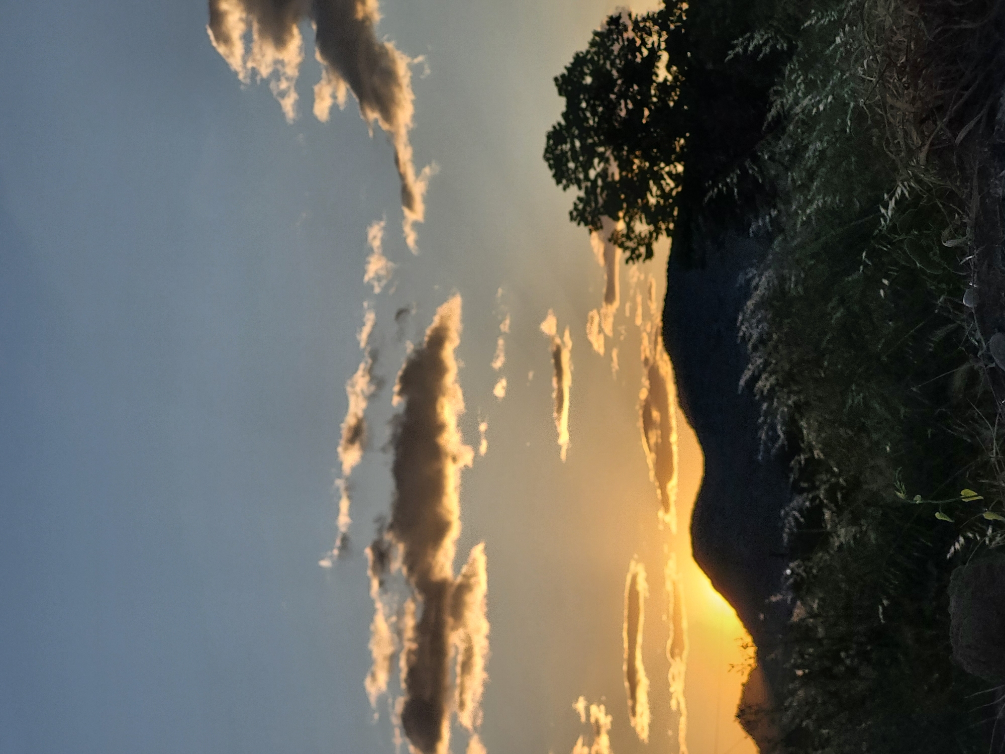 Spring sunset captured across Montenegro countryside with dog, grass