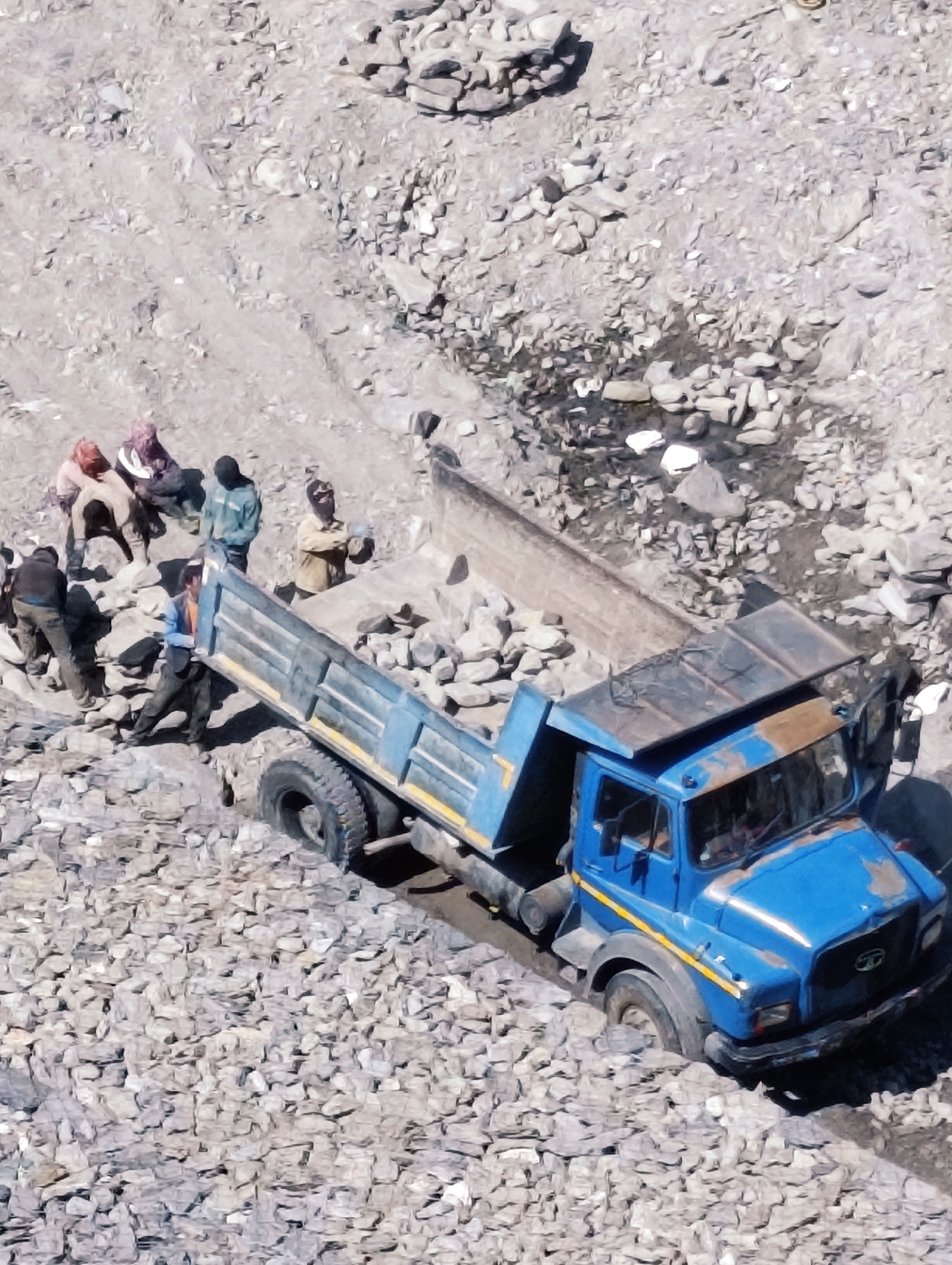Livestock, a stuck truck, and mountain scenery in Sissu