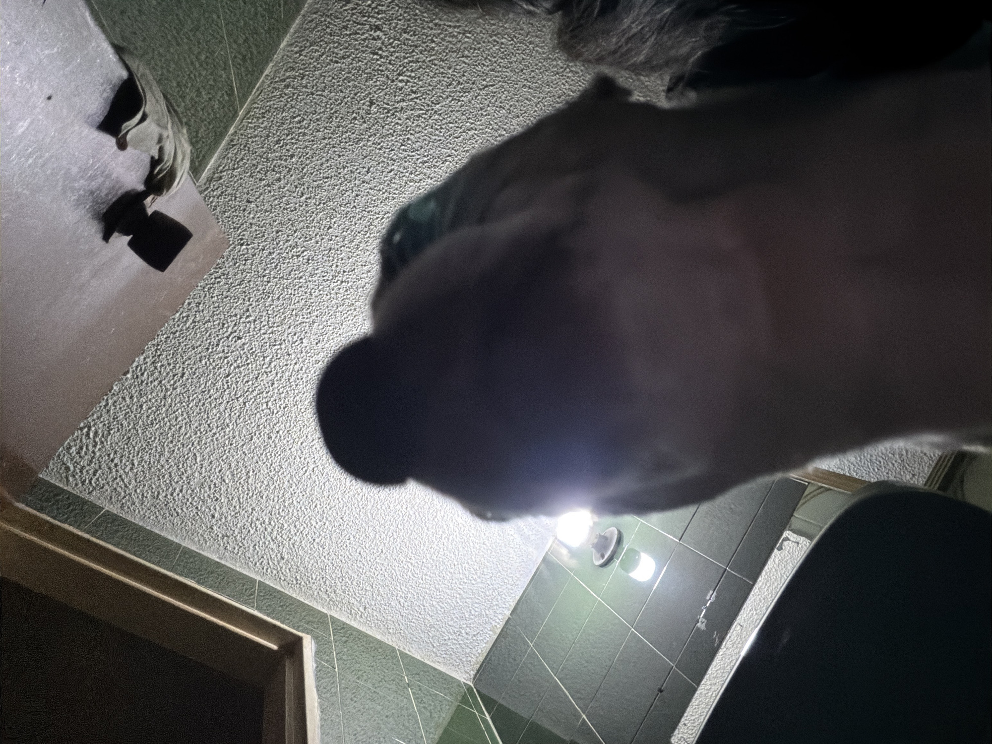 Pet sightings captured moments apart in Venezuelan homes