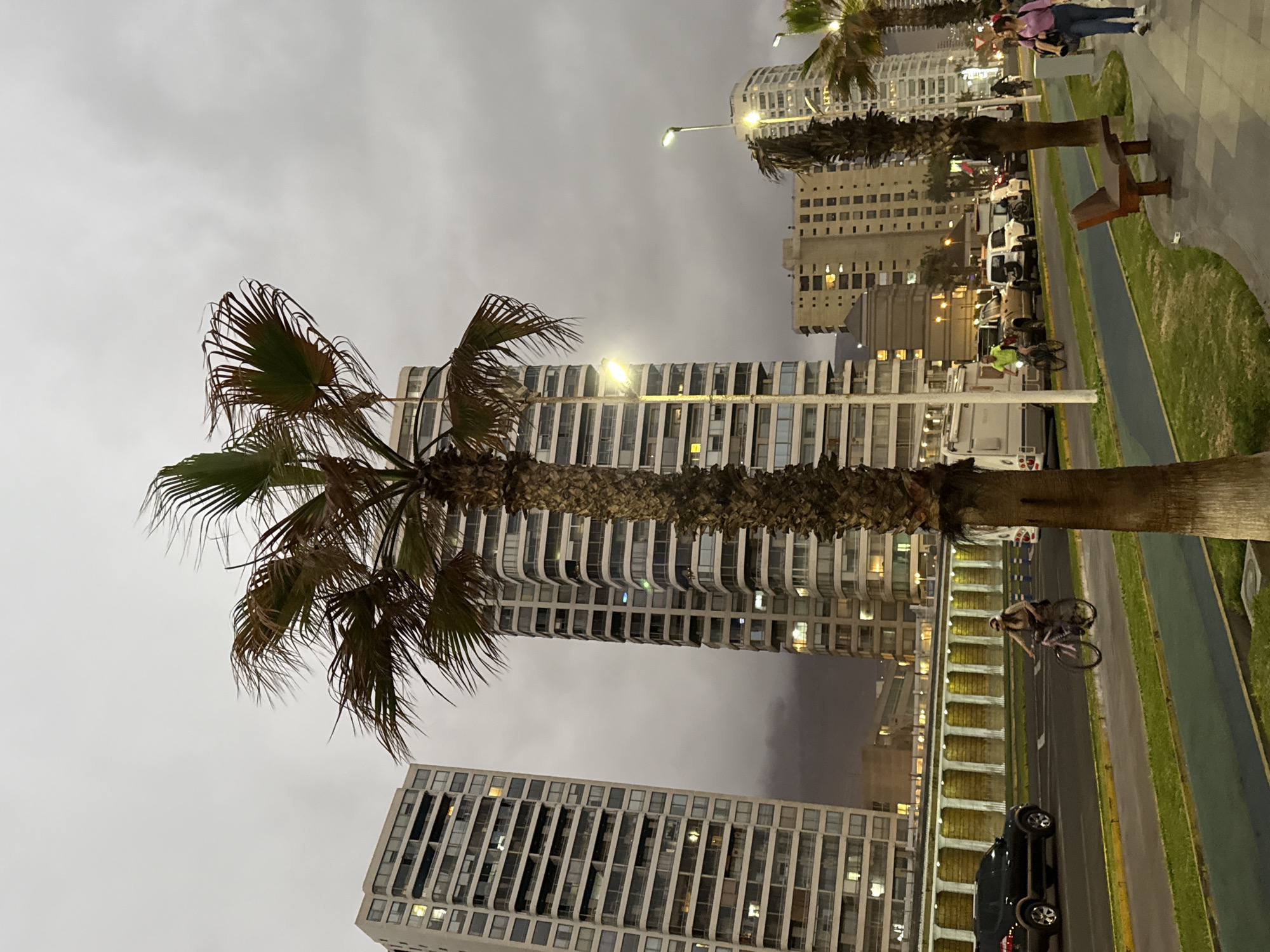 Iquique's palm-lined promenade at twilight