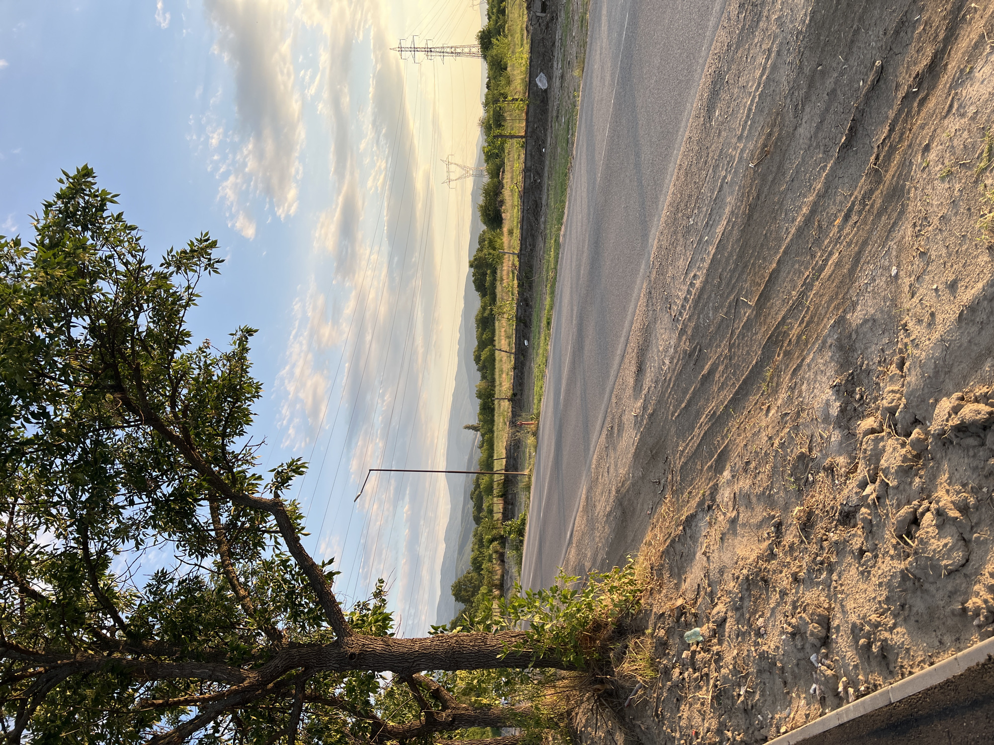 Dog walk on a freshly paved rural road near Plovdiv