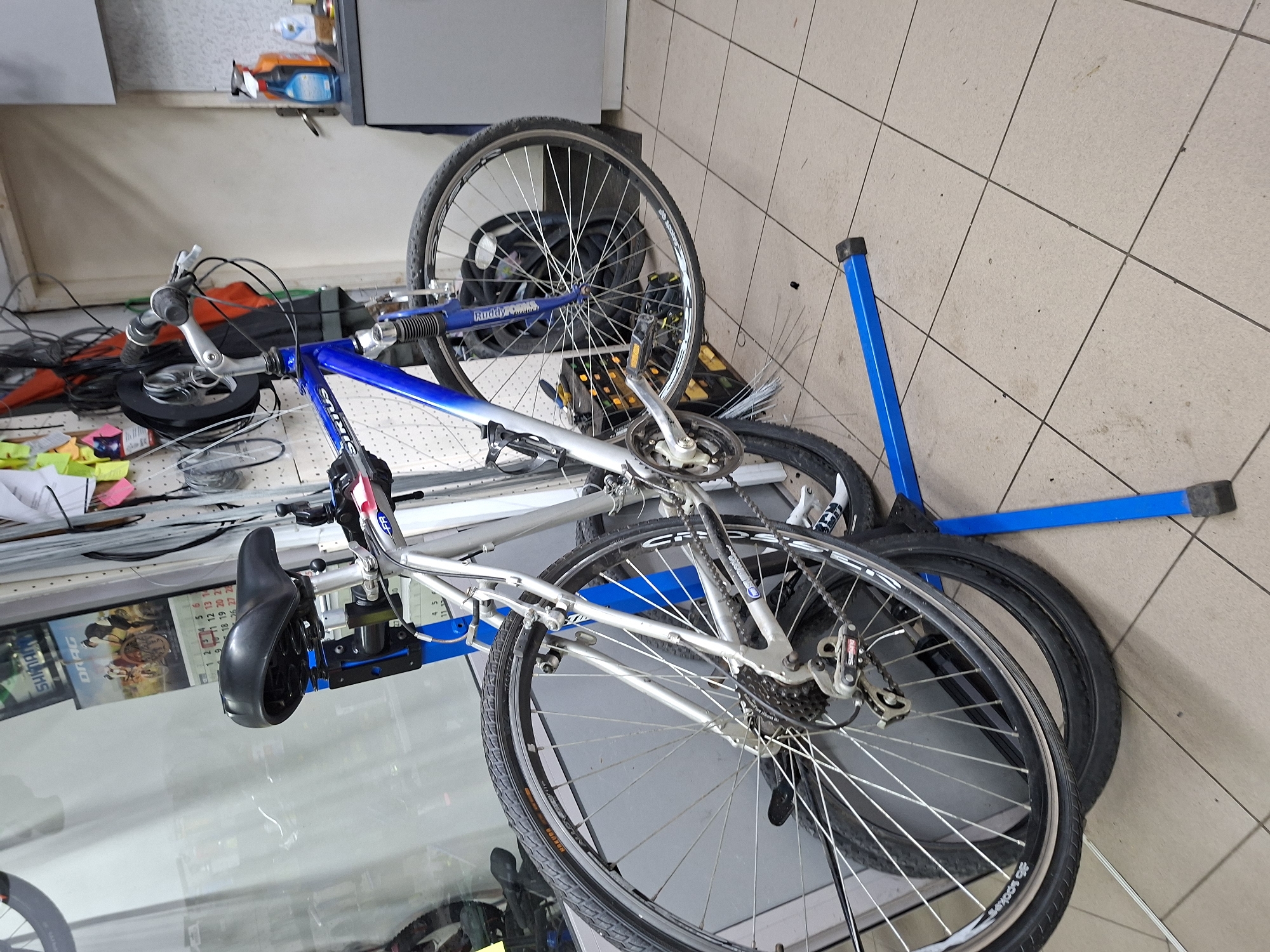 Bicycle shop activity documented in Gabrovo, Bulgaria