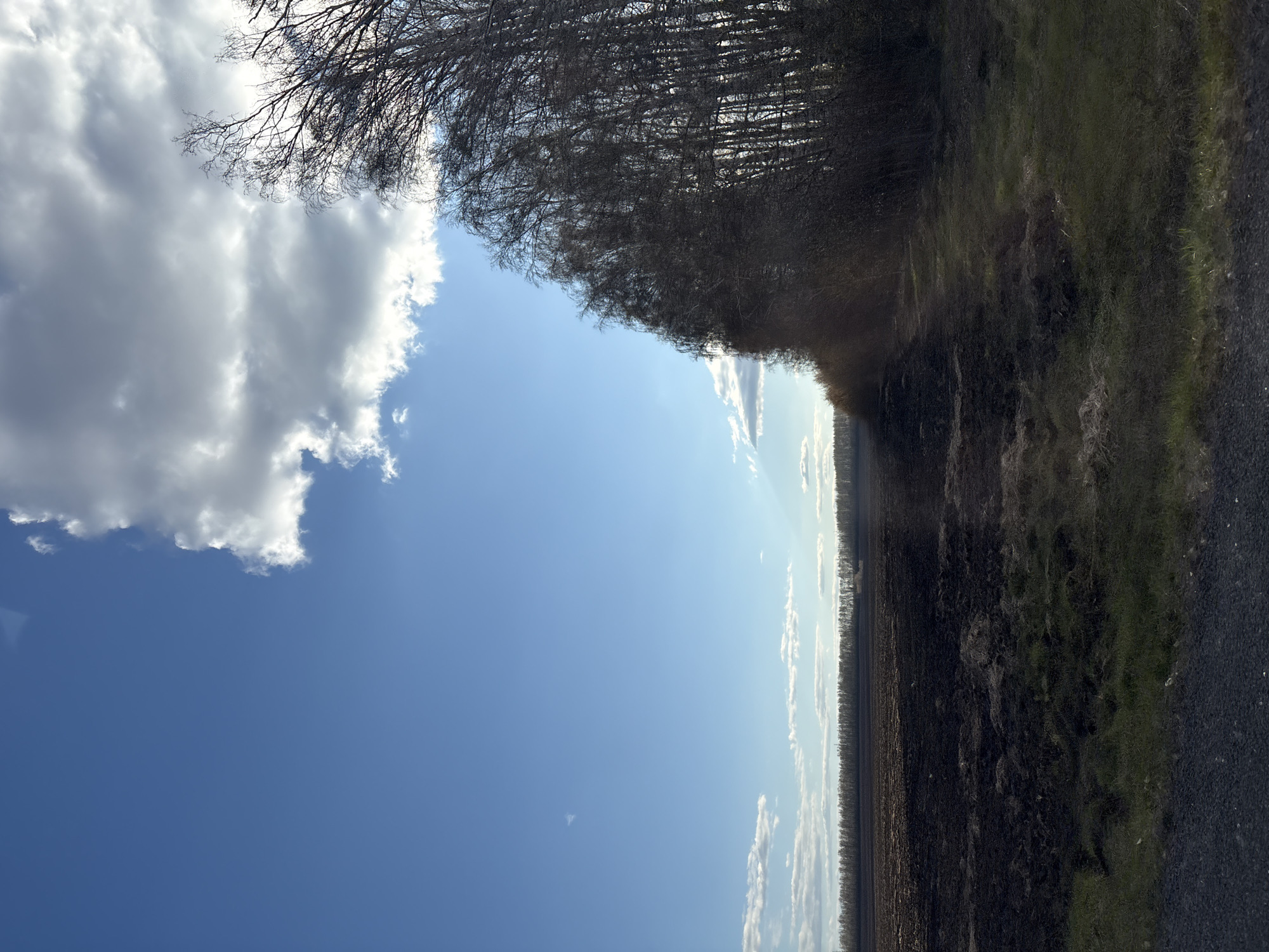 Rural landscape documented in Nizhniye Vyazovye, Russia