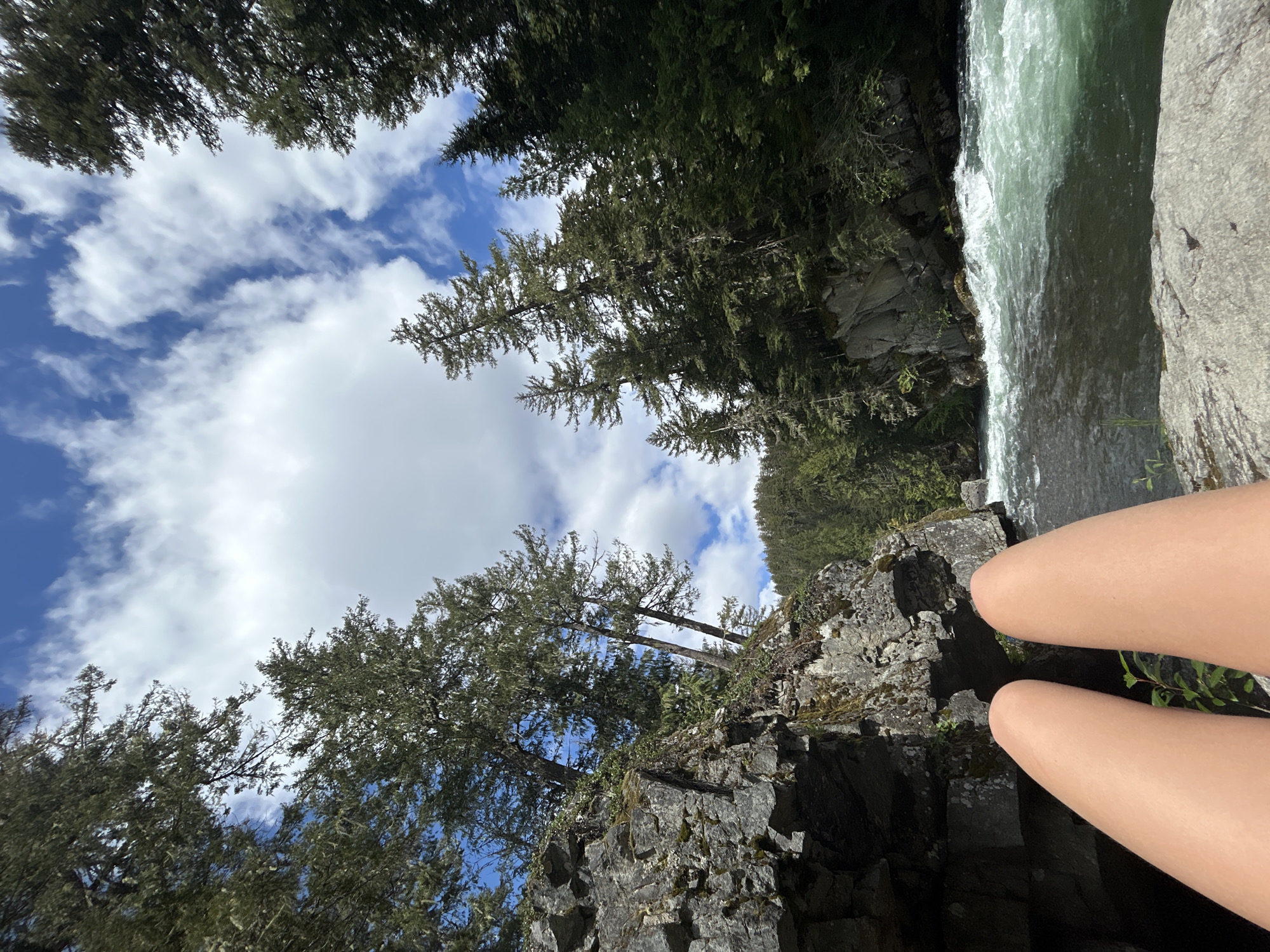 Visitor documents nature walk and meal in Whistler