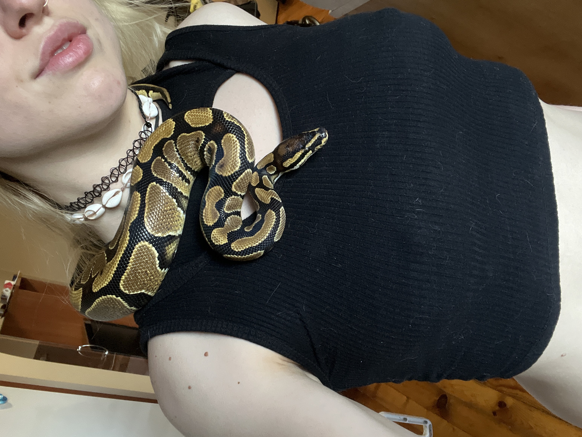 Person photographed with ball python in Plovdiv, Bulgaria