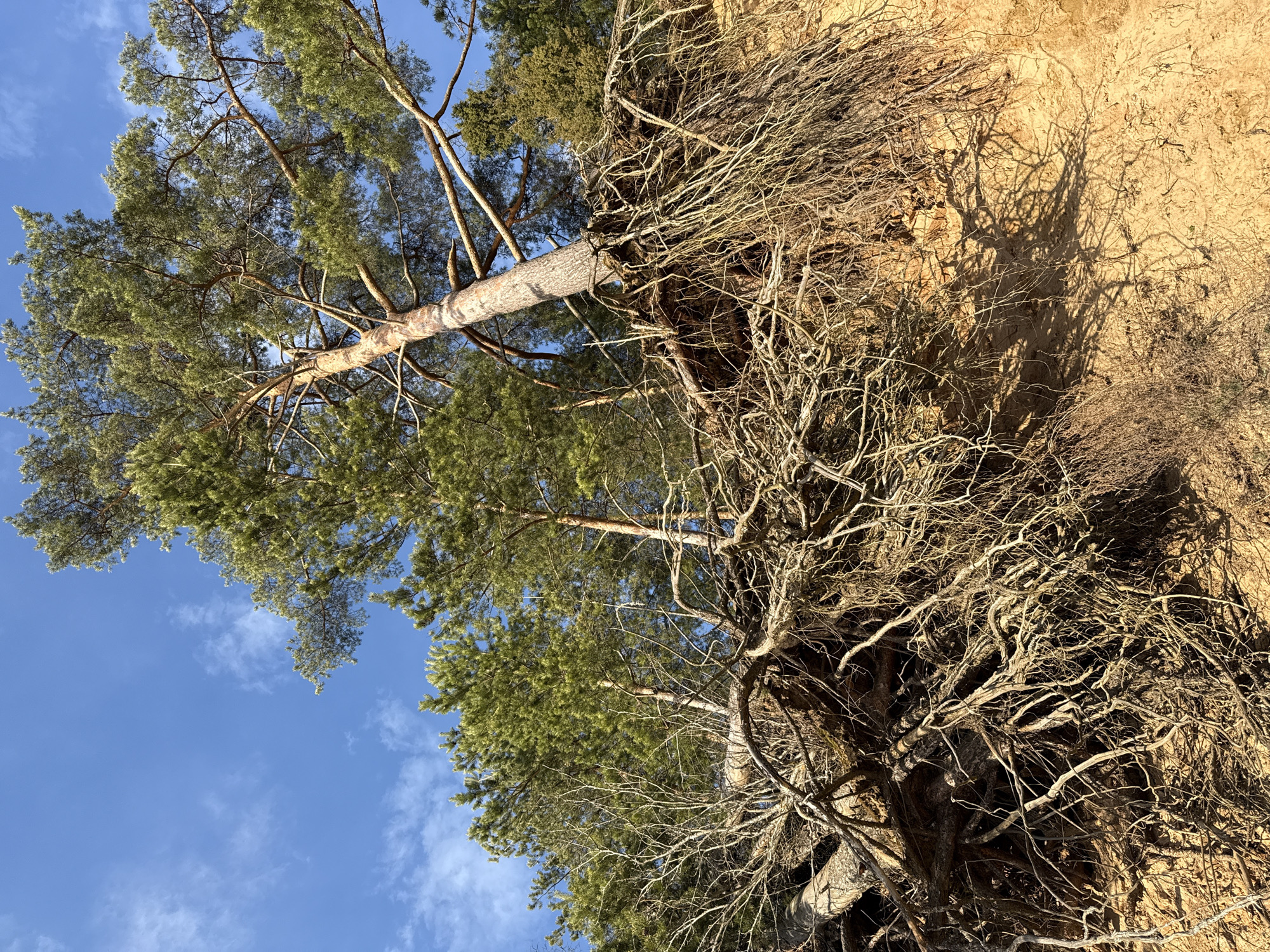 Fossil hunting and cliff documentation in Petrakovo, Russia