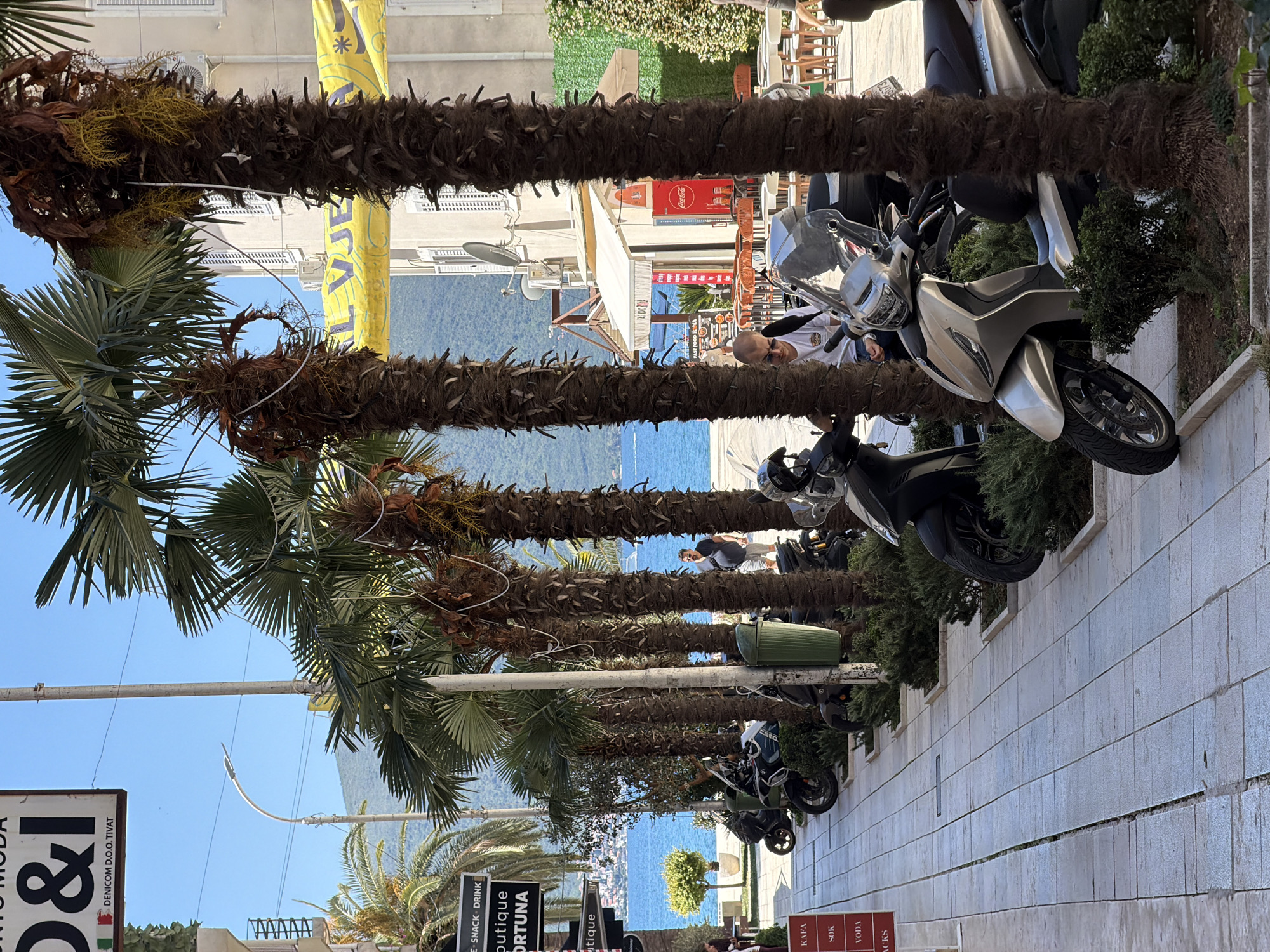 Quiet morning street scene observed in coastal Tivat, Montenegro