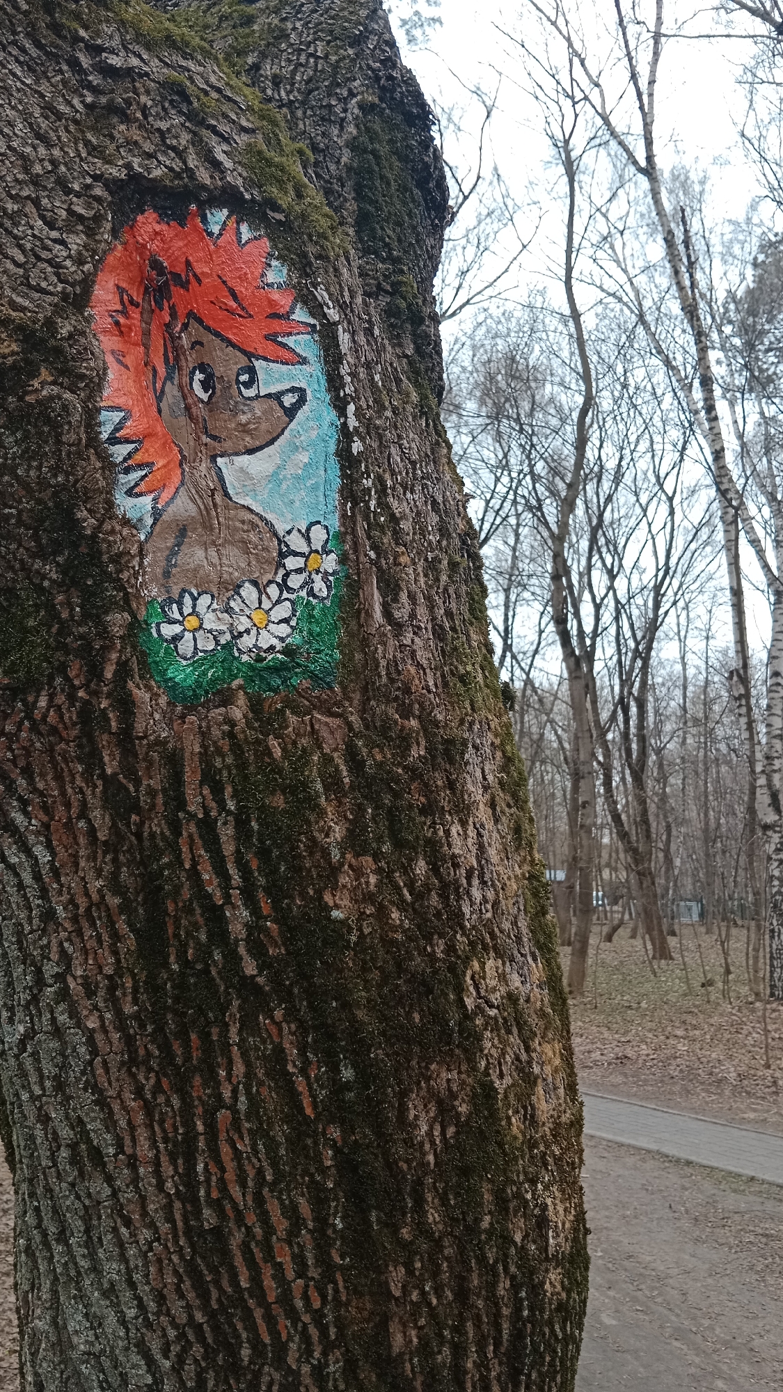 Spring awakening documented in Moscow park with wildlife and blooms