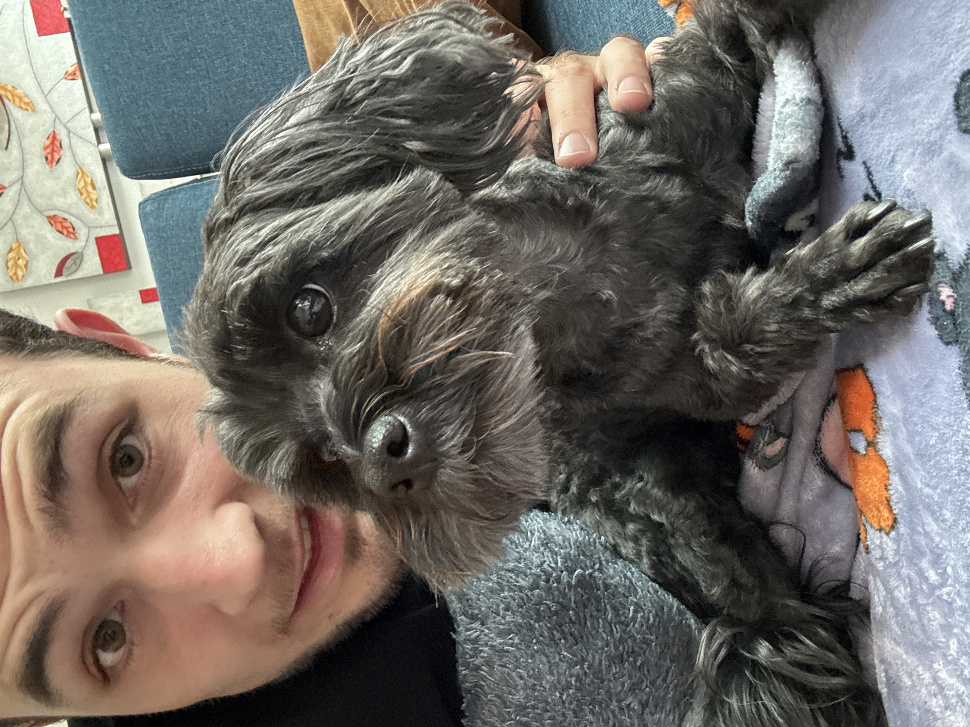 Man enjoys quiet evening playing with small dogs at home