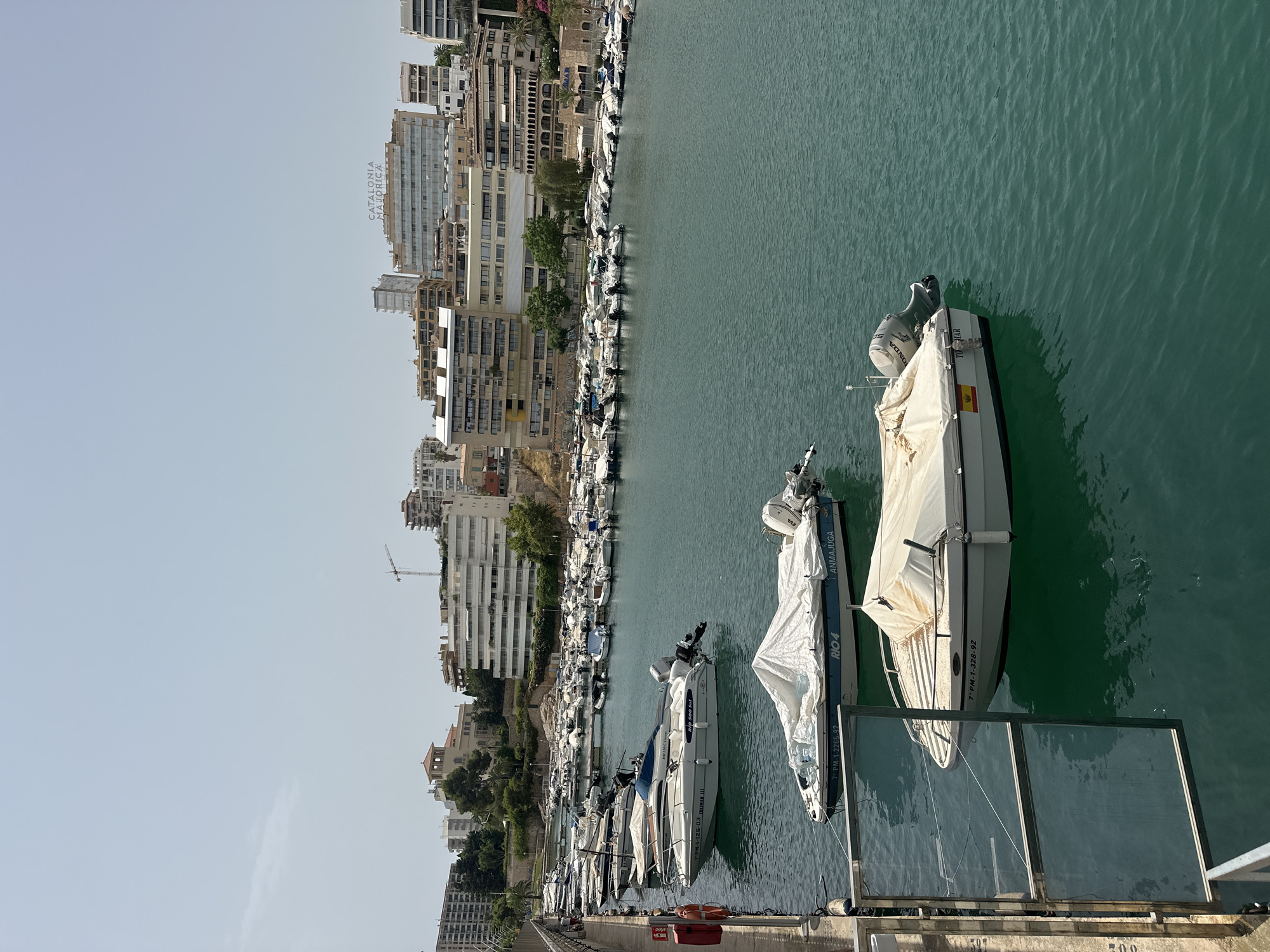 Palma harbor and streets on a July morning