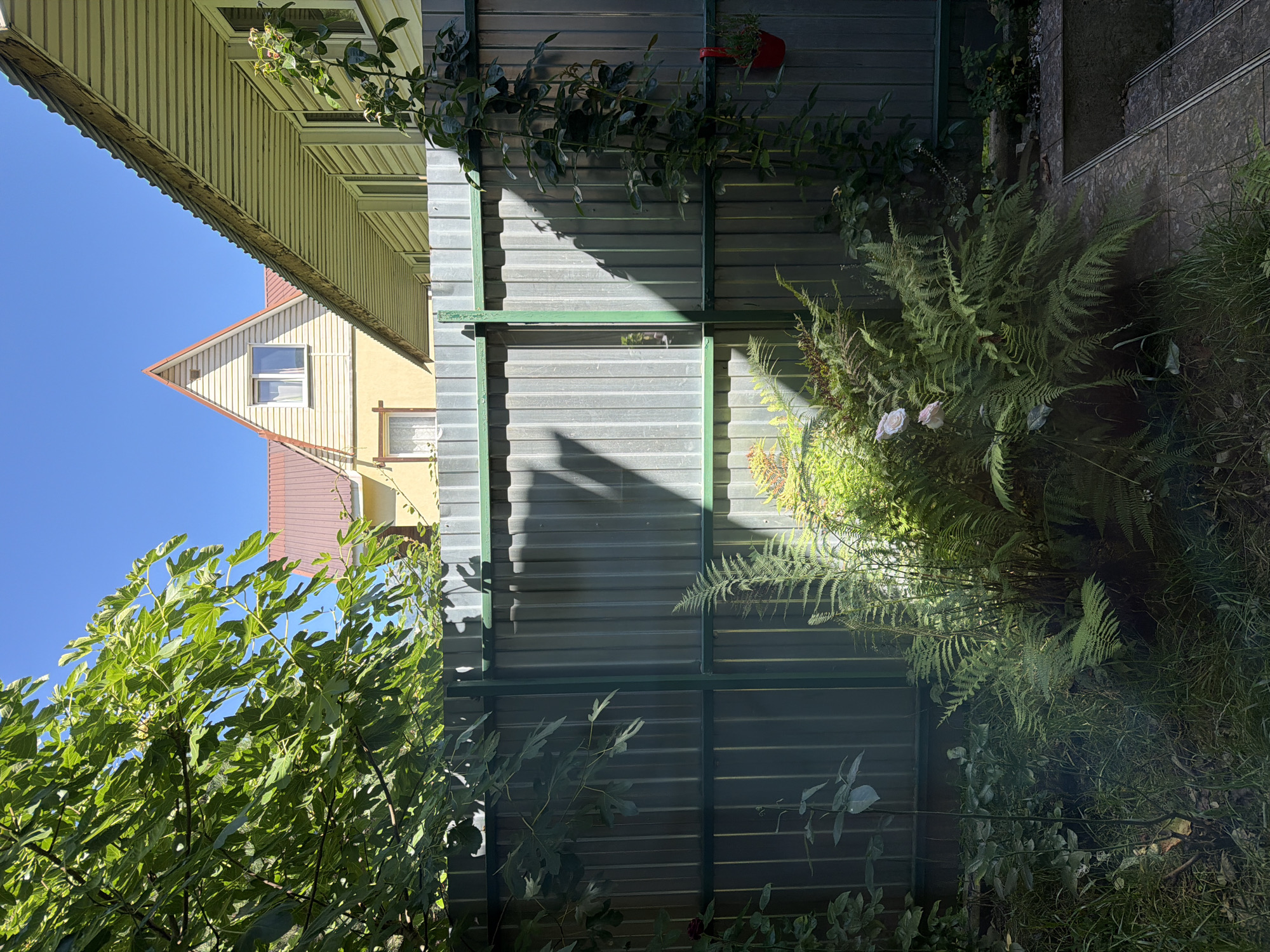 Everyday life inside and outside a Krasnaya Polyana home