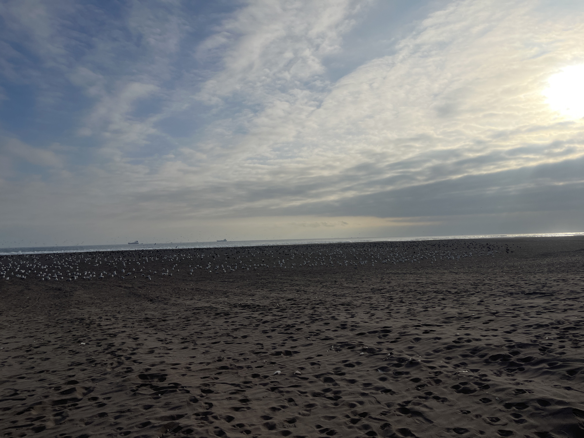 Evening beach documentation captured in Arica, Chile