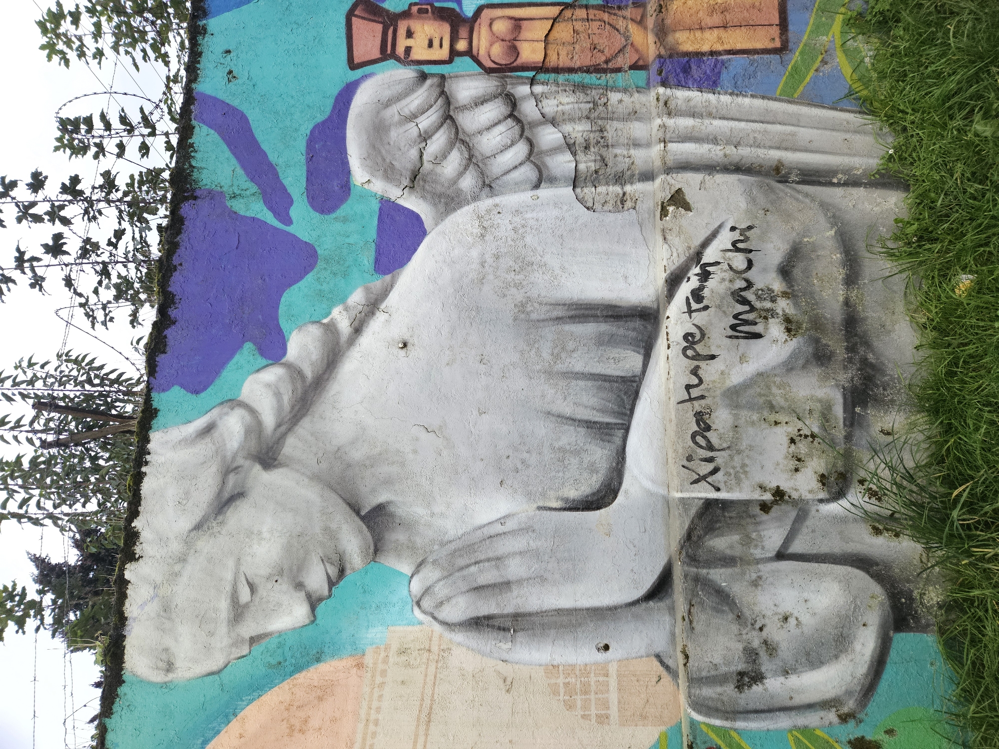 Street art murals documented on Temuco walls