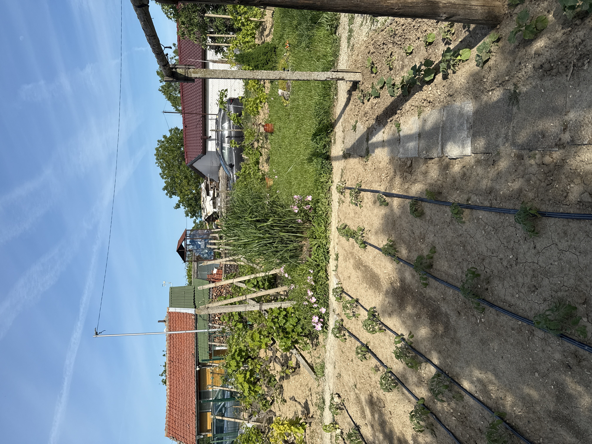 Vegetable garden with irrigation system documented in Varna, Bulgaria