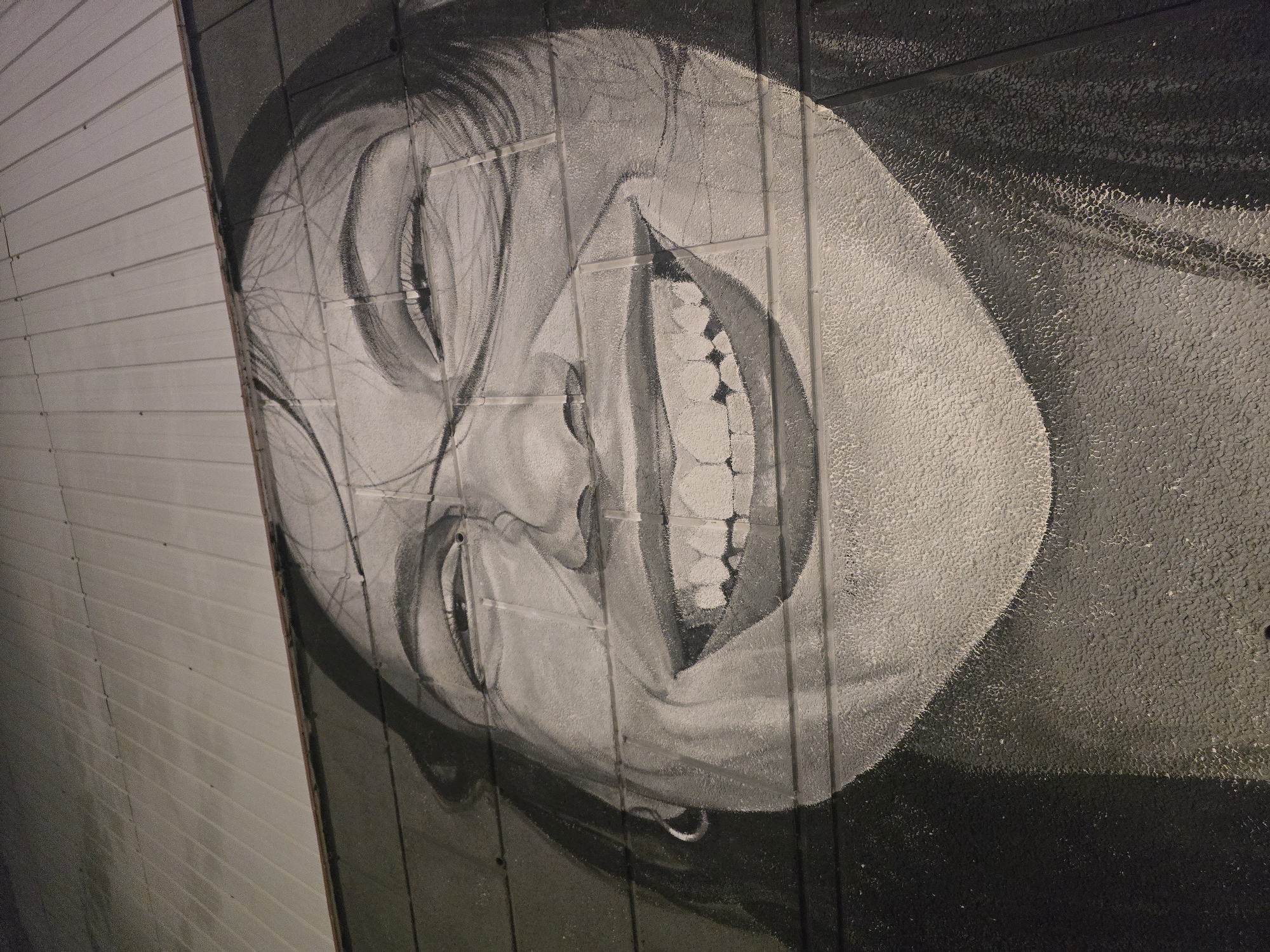 Large woman's portrait mural spotted in Cornellà de Llobregat