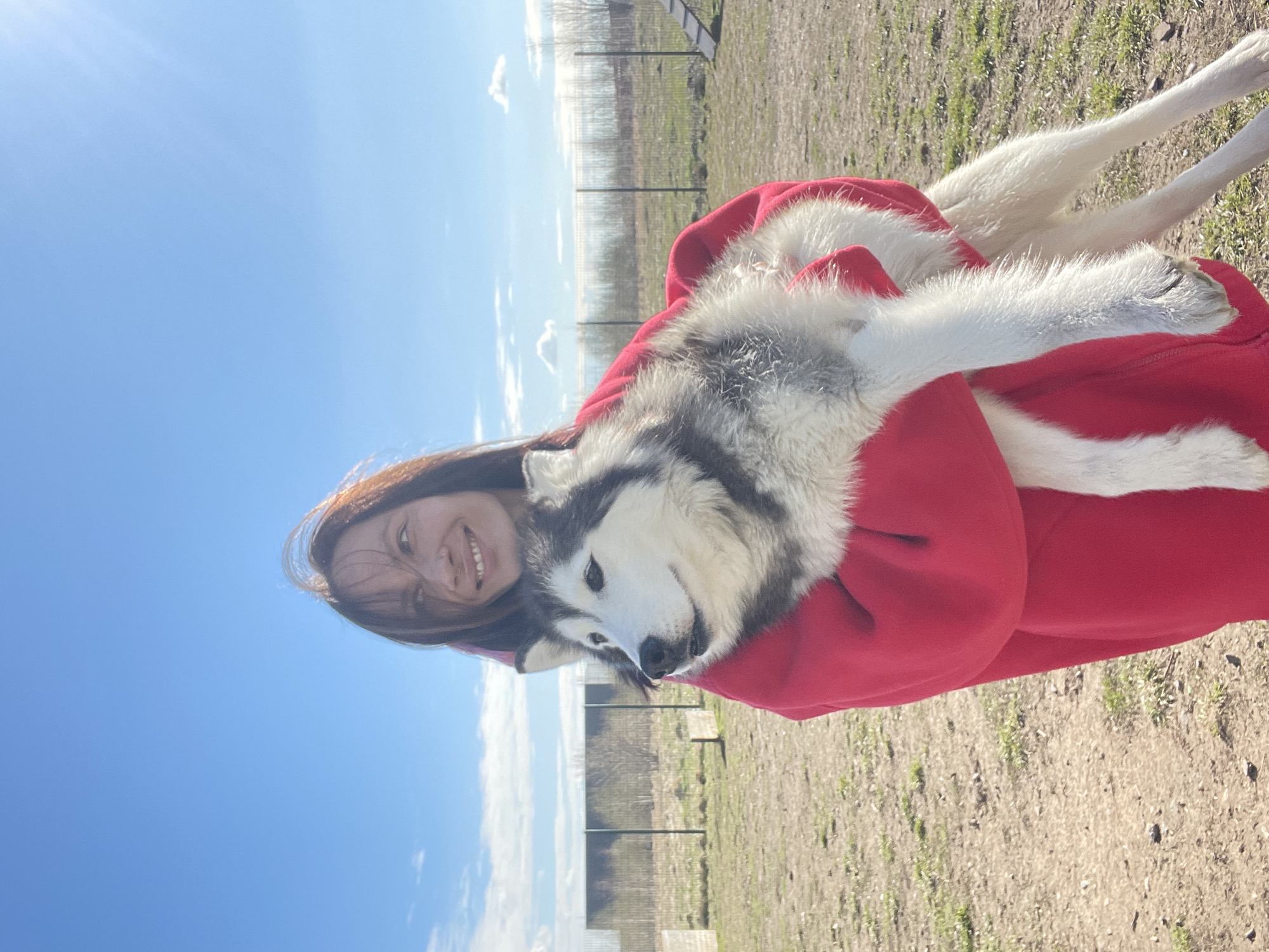 Woman poses with husky dog in early morning Izhevsk photos