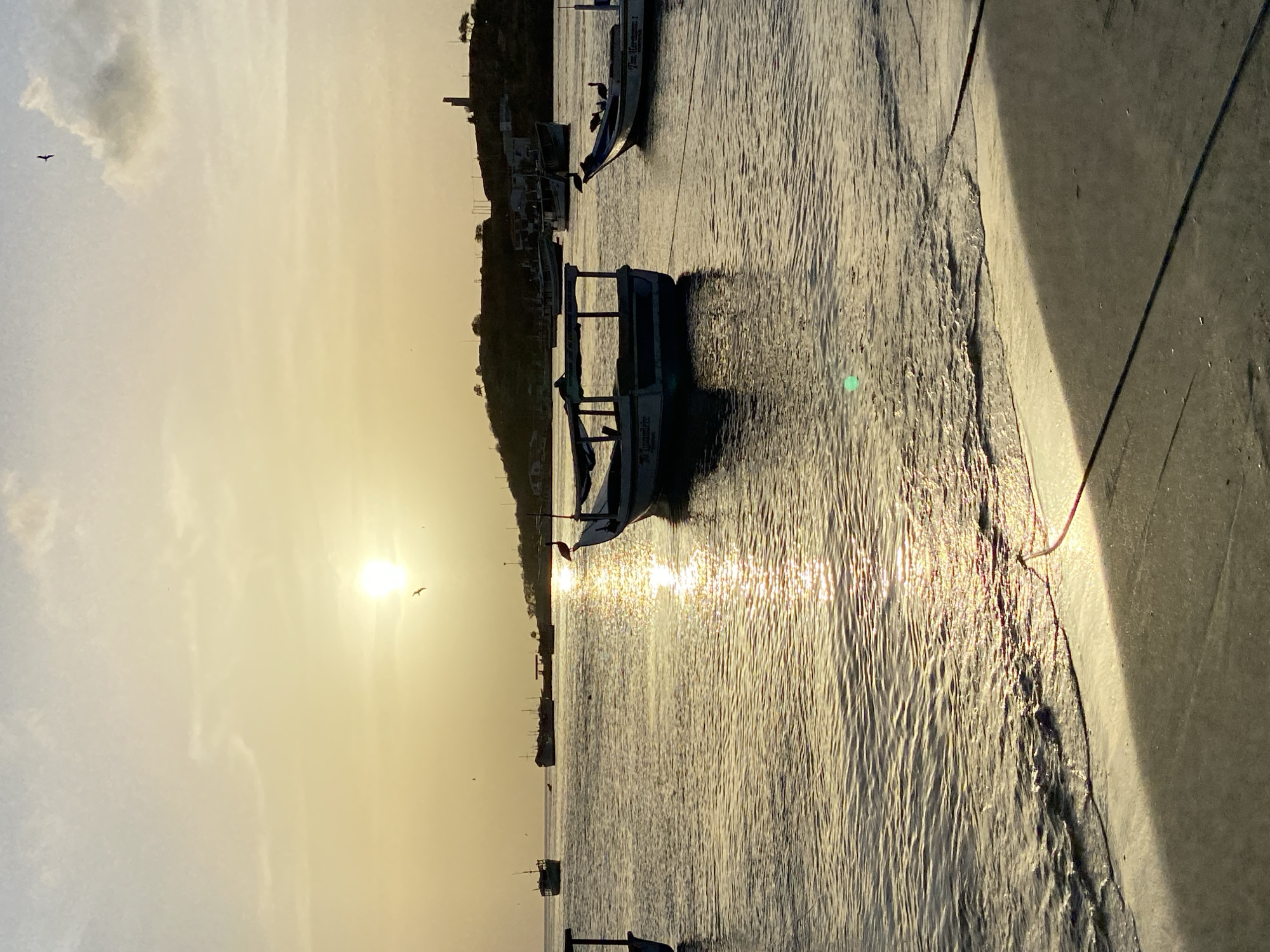 Golden hour at Juan Griego's bay, boats at rest