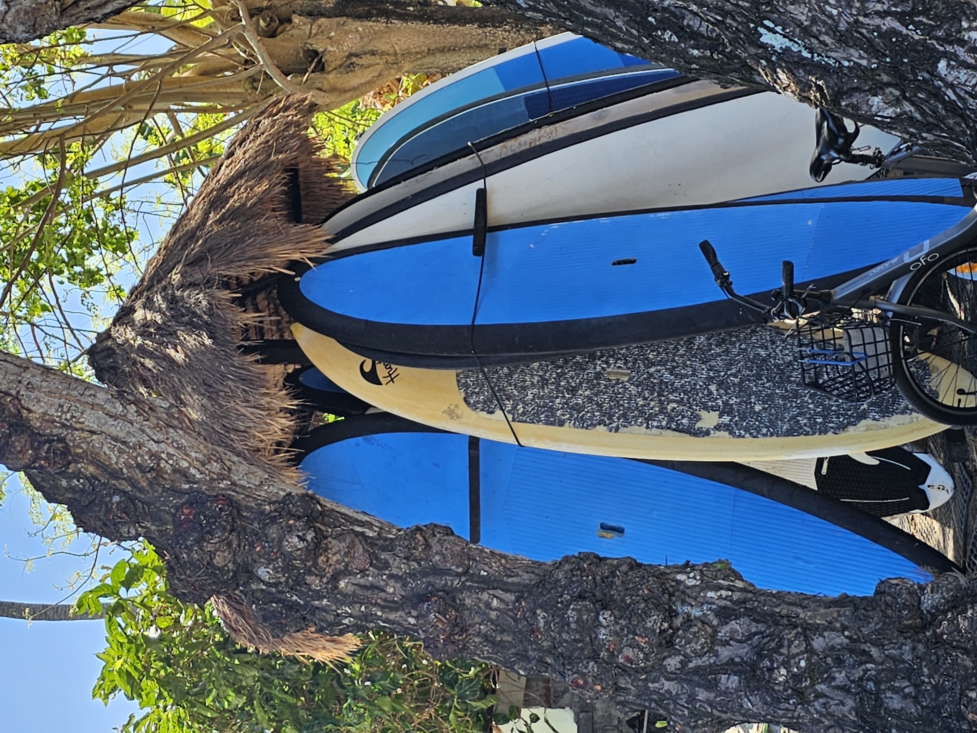 Surf gear, bikes, and shaded walkways at a Denpasar outdoor spot